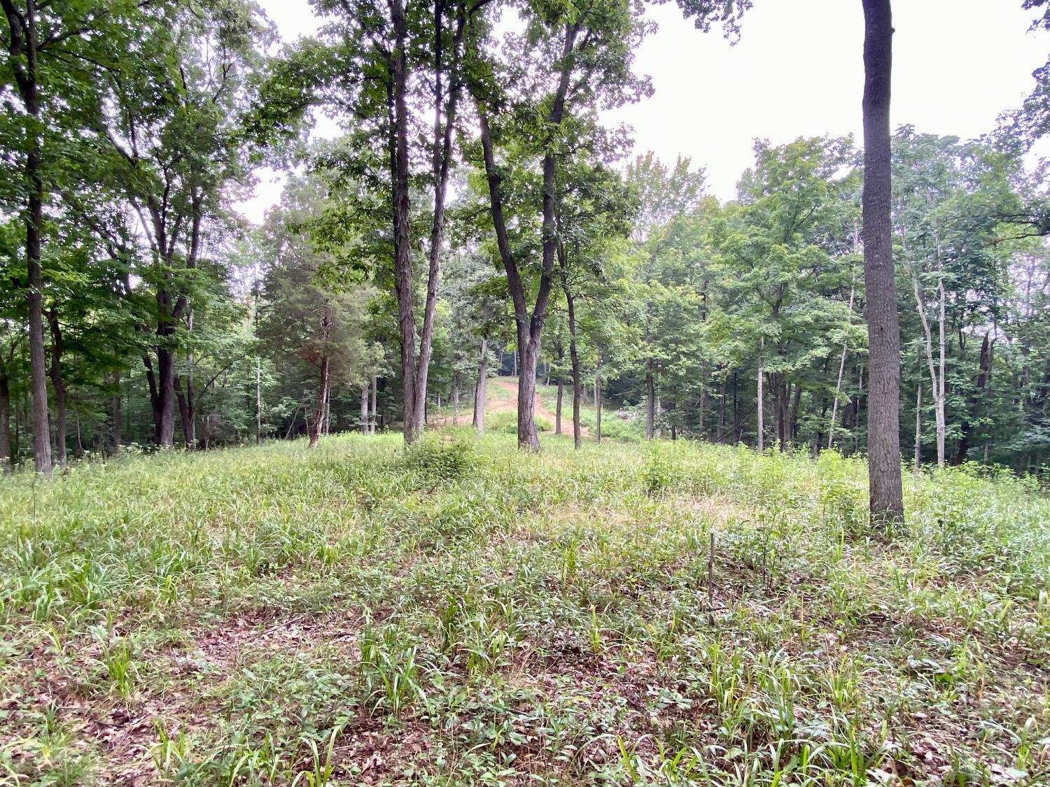 206 Thelma Lane, Blue Creek, OH, 45616 — photo 28