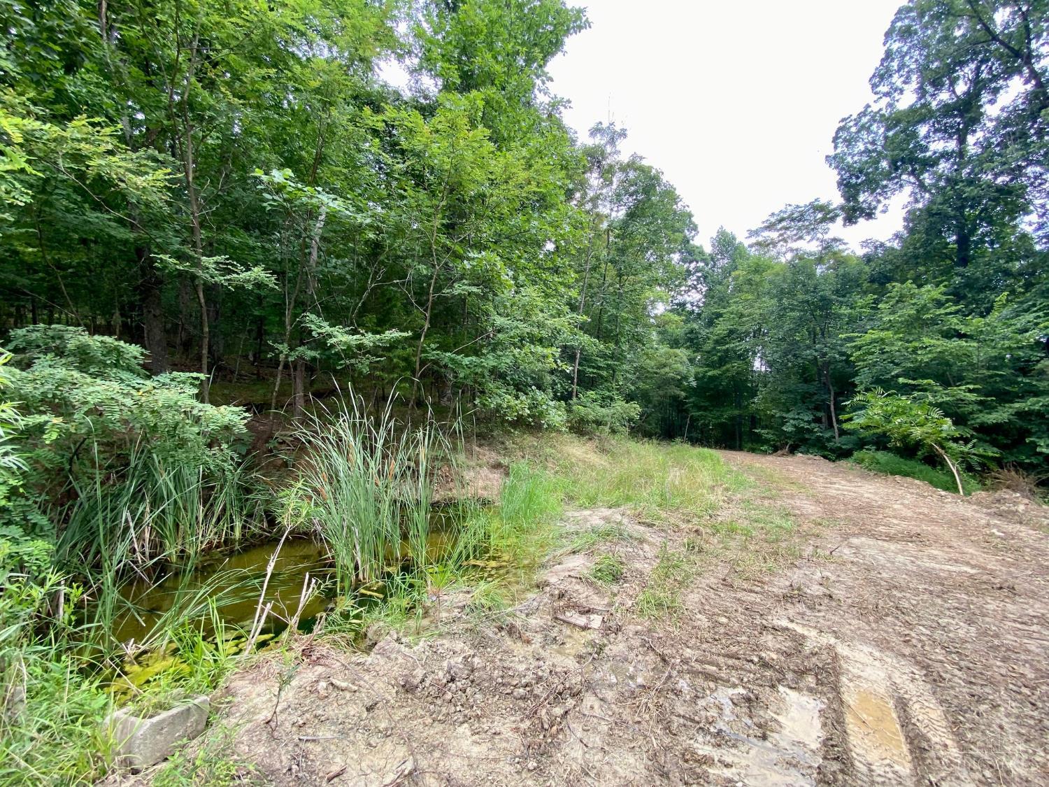 206 Thelma Lane, Blue Creek, OH, 45616 — photo 12