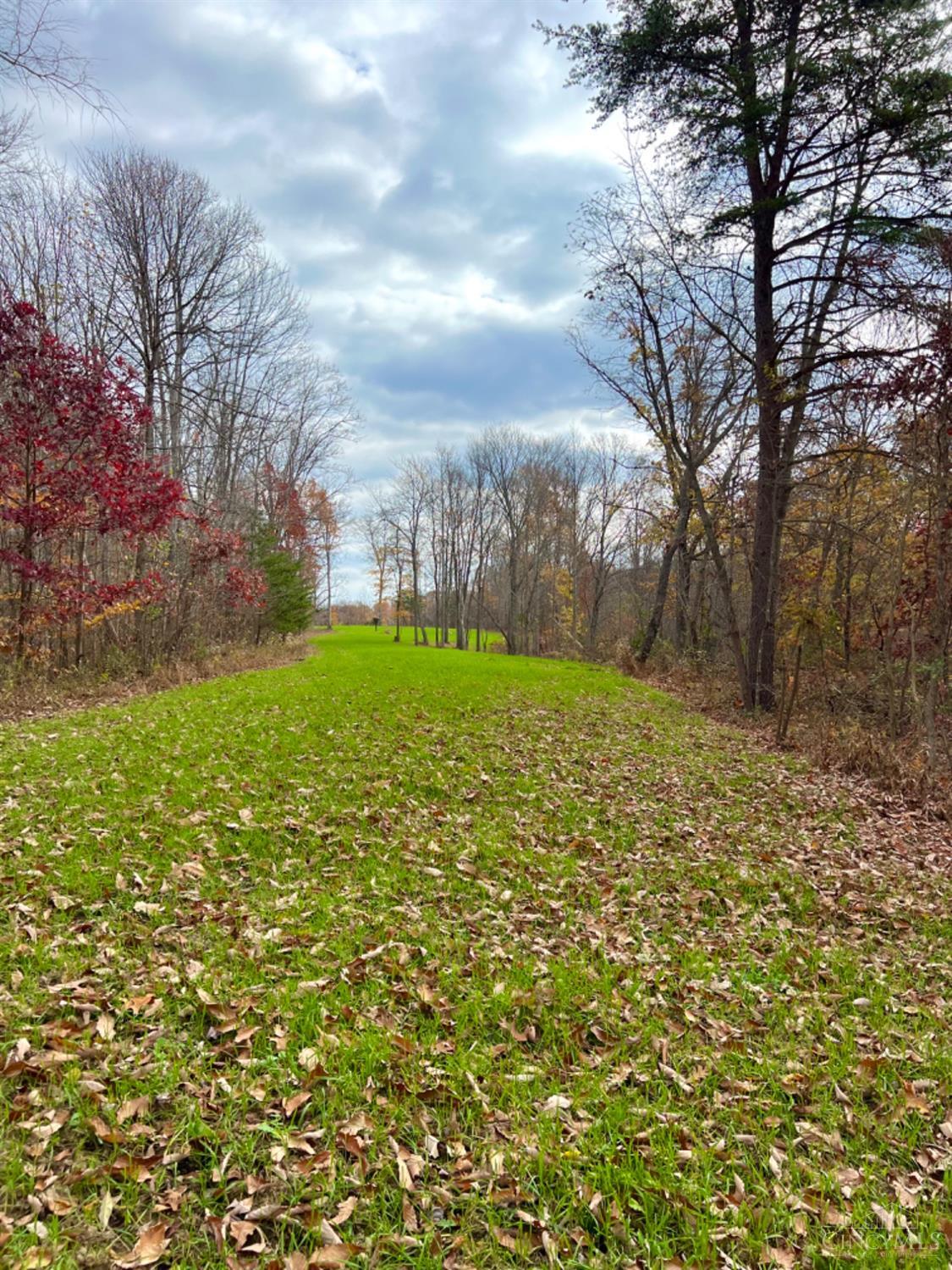 1584 Sherborne Road, Madison Twp, OH, 45648 — photo 49