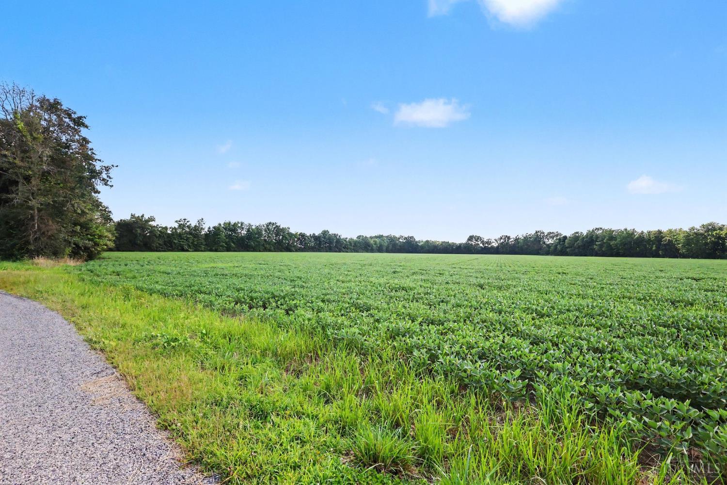 Neal Road, Pike Twp, OH, 45106