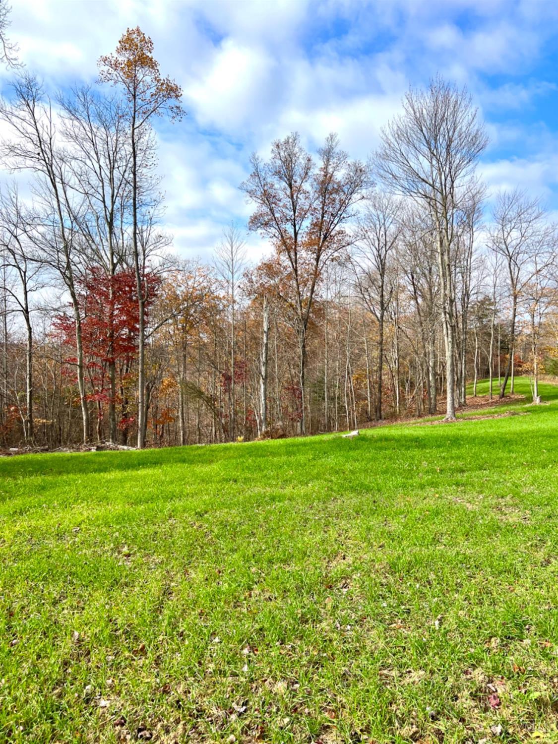 1584 Sherborne Road, Madison Twp, OH, 45648 — photo 53