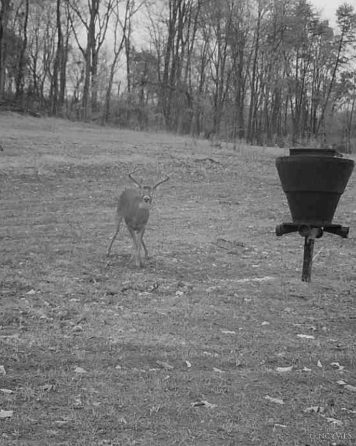 1584 Sherborne Road, Madison Twp, OH, 45648 — photo 79