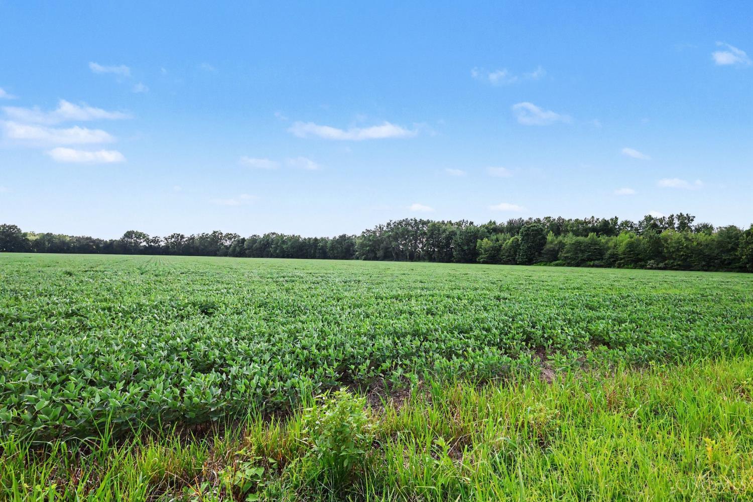 Neal Road, Pike Twp, OH, 45106 — photo 4