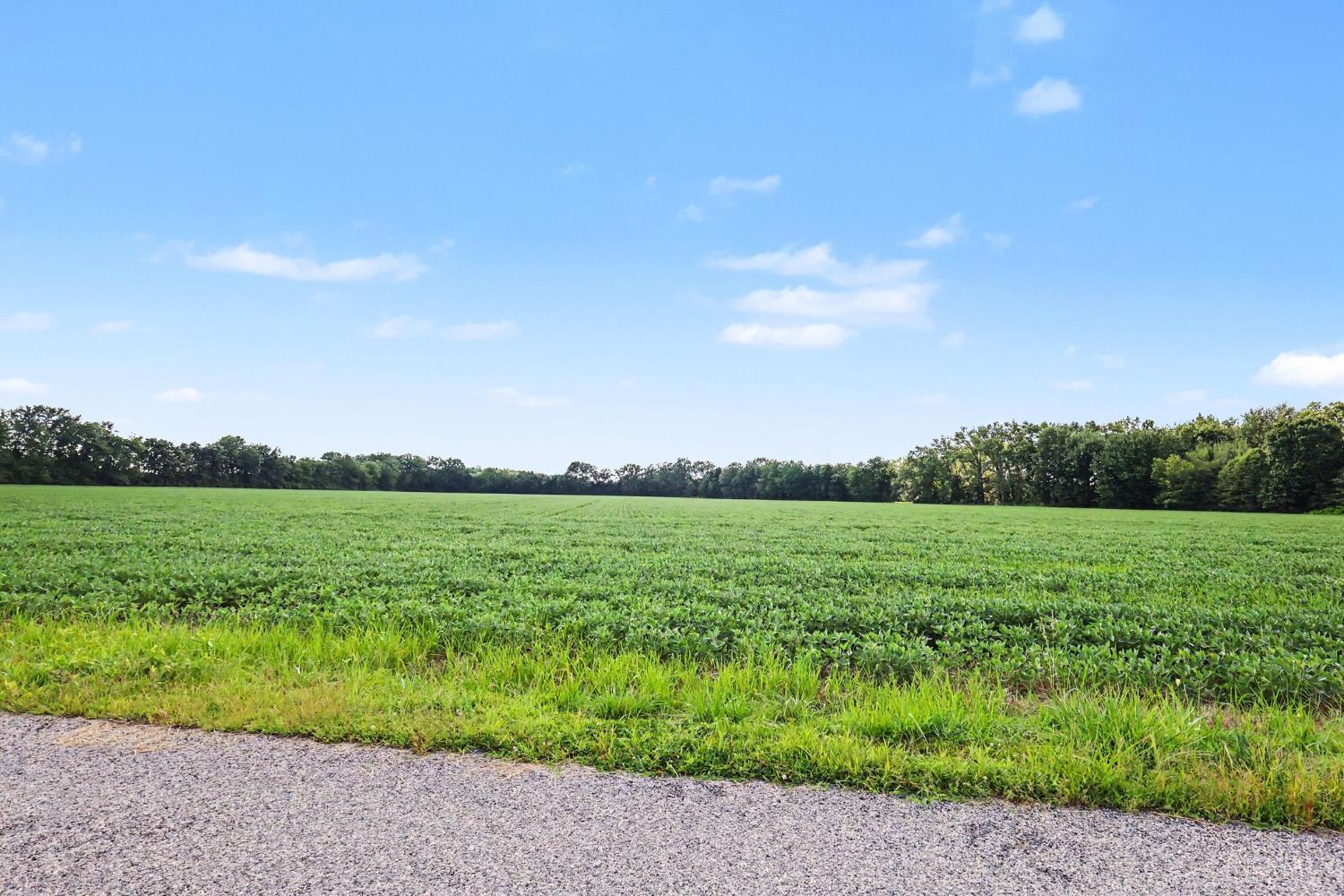 Neal Road, Pike Twp, OH, 45106 — photo 3