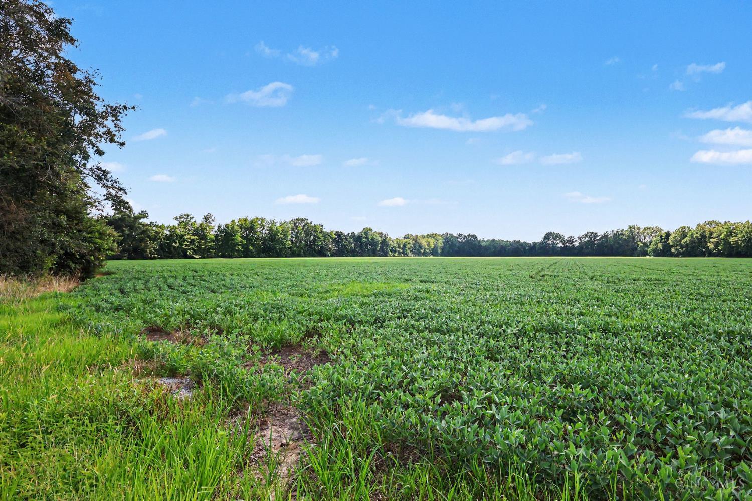 Neal Road, Pike Twp, OH, 45106 — photo 5