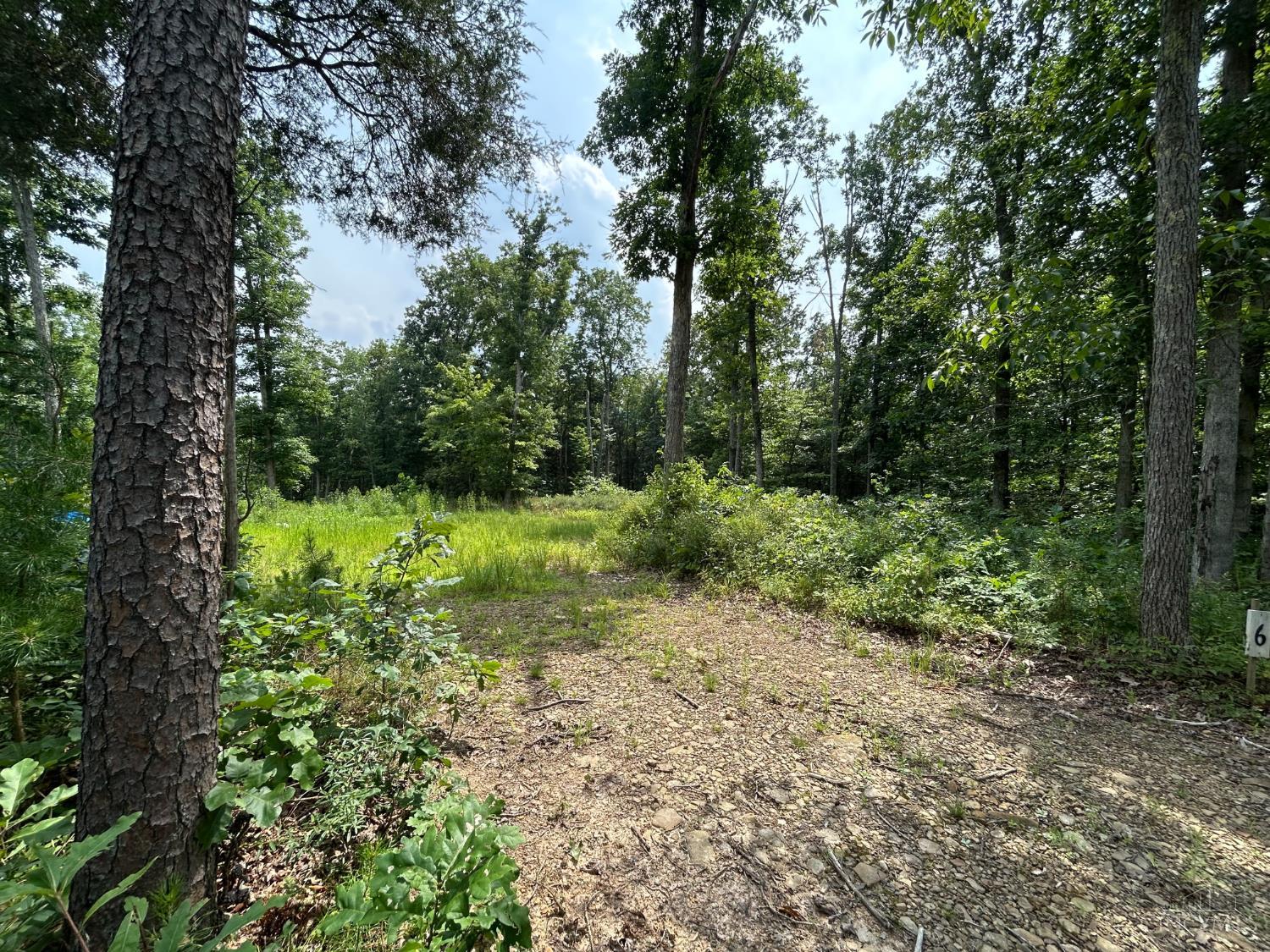 5786 St Rt 781, Peebles, OH, 45660 — photo 7