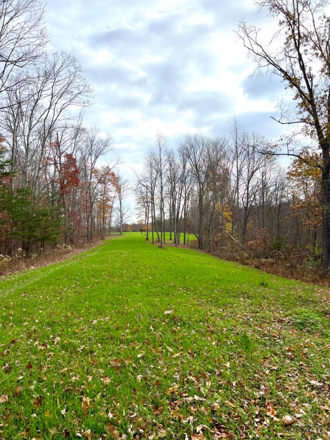 1584 Sherborne Road, Madison Twp, OH, 45648 — photo 31