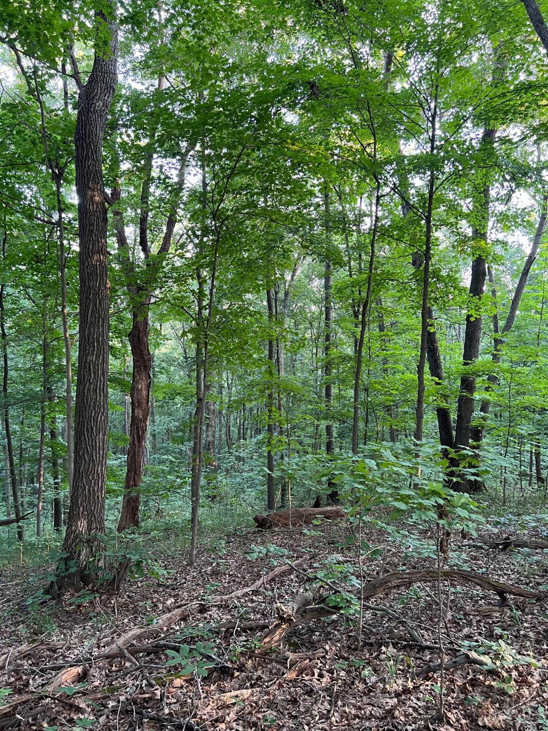 Tabernacle Road, Scioto Twp, OH, 45601 — photo 57