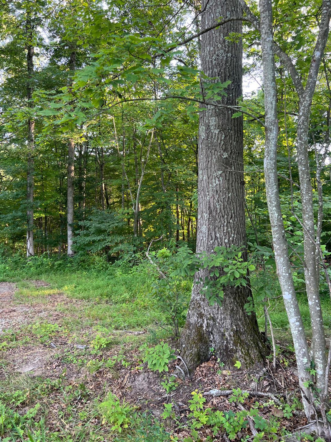 Tabernacle Road, Scioto Twp, OH, 45601 — photo 5