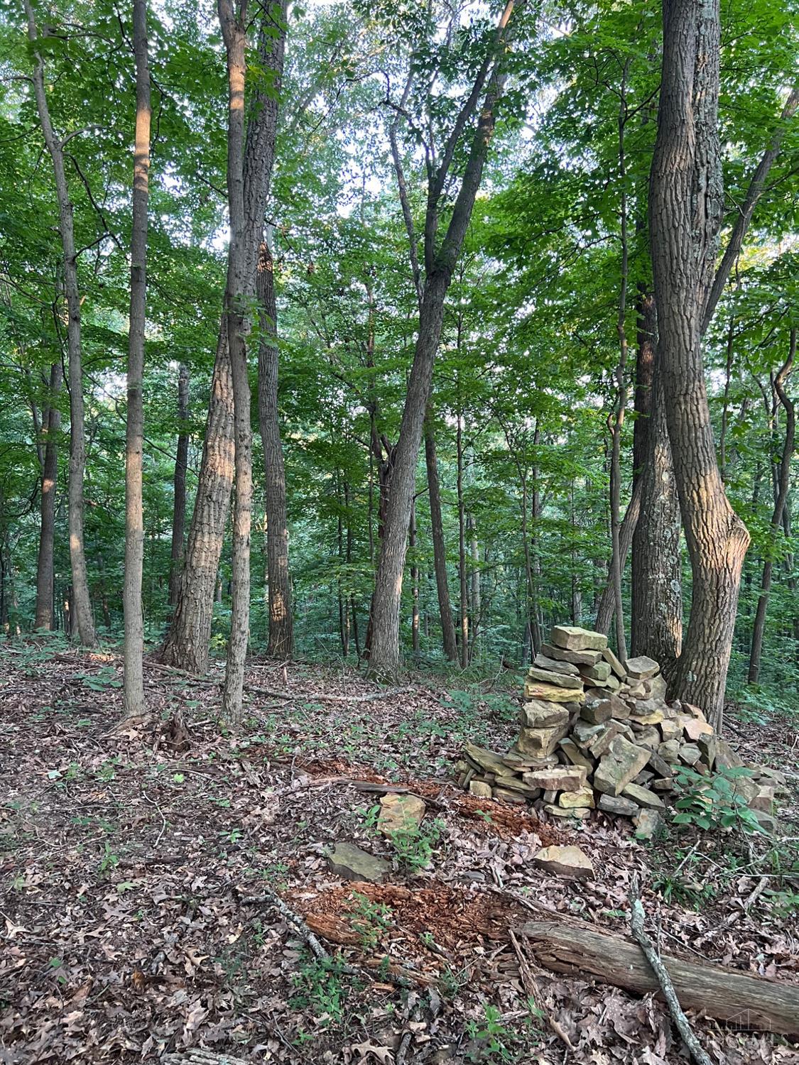 Tabernacle Road, Scioto Twp, OH, 45601 — photo 56
