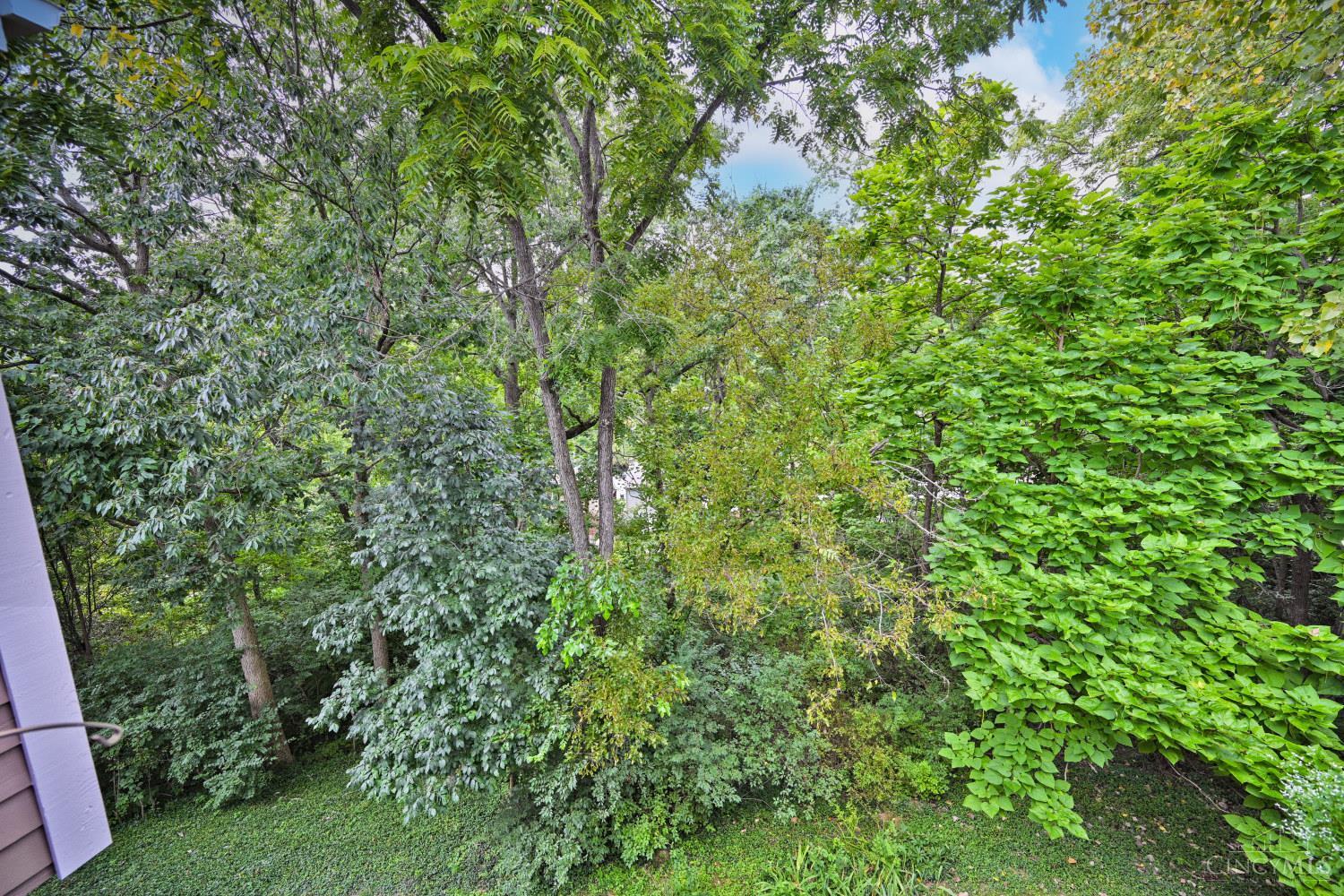 681 Totten Way, Cincinnati, OH, 45226 — photo 58