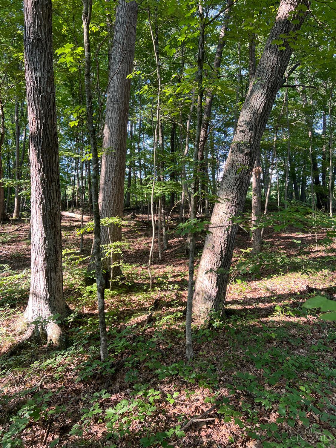 Tabernacle Road, Scioto Twp, OH, 45601 — photo 17