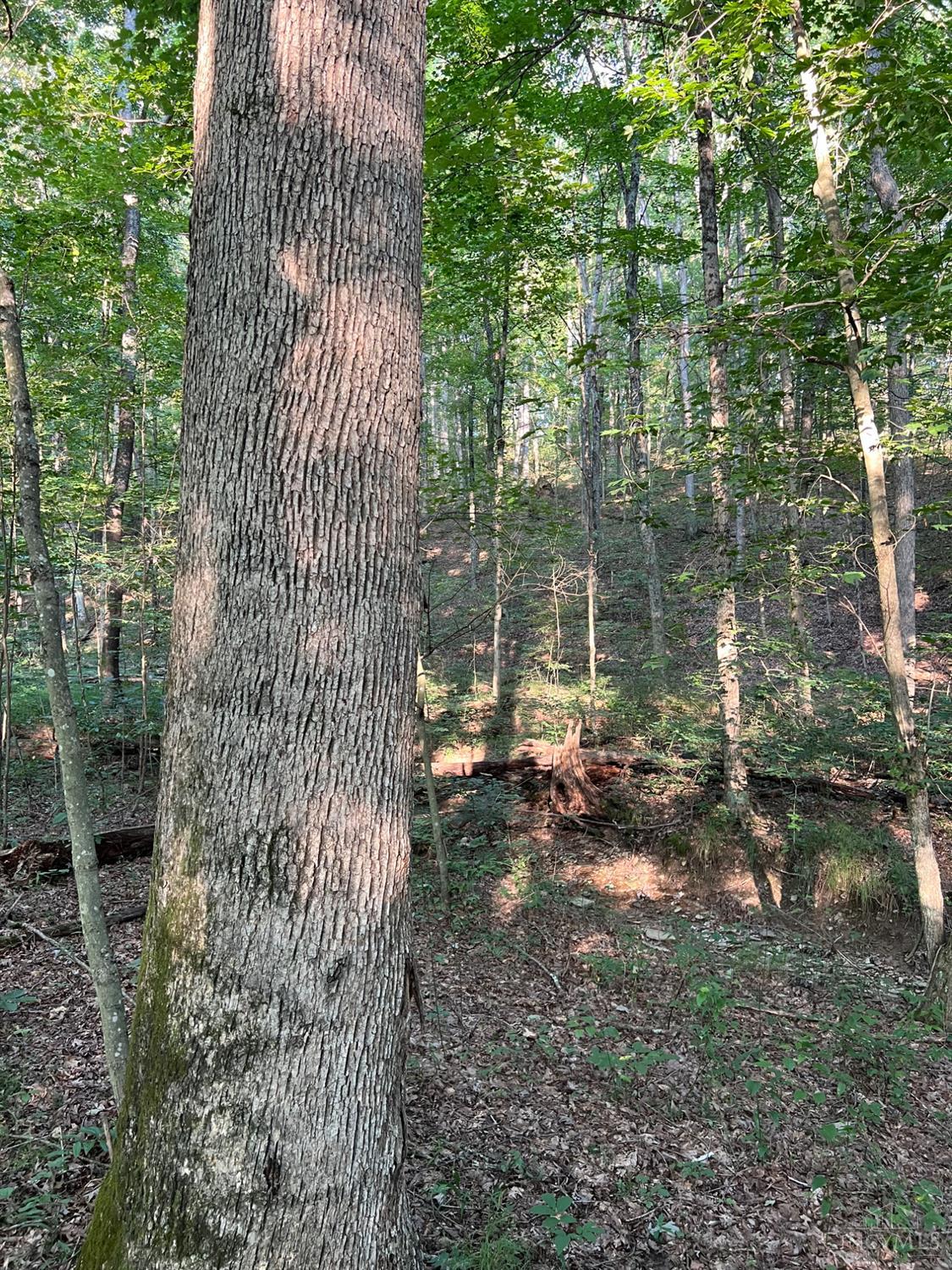 Tabernacle Road, Scioto Twp, OH, 45601 — photo 35