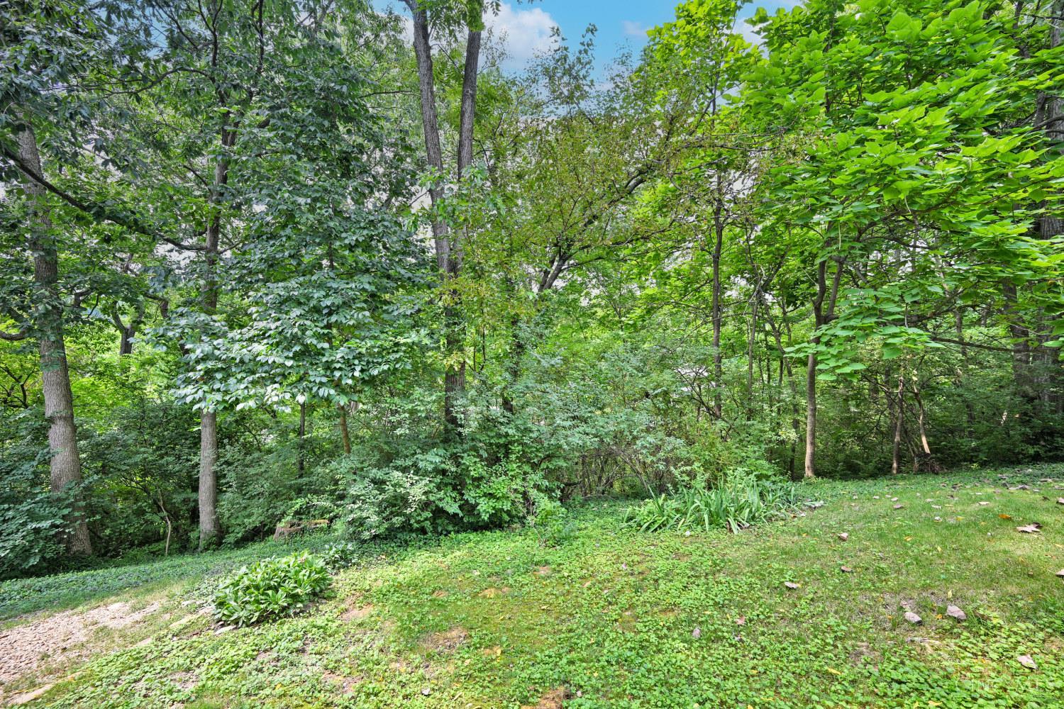 681 Totten Way, Cincinnati, OH, 45226 — photo 59