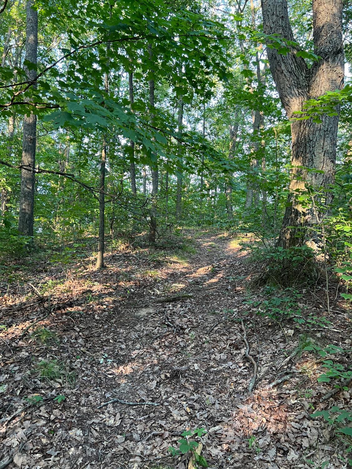 Tabernacle Road, Scioto Twp, OH, 45601 — photo 51