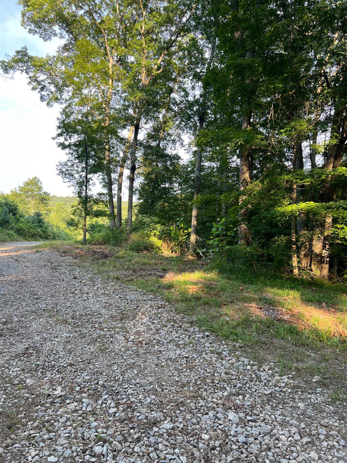 Tabernacle Road, Scioto Twp, OH, 45601 — photo 24