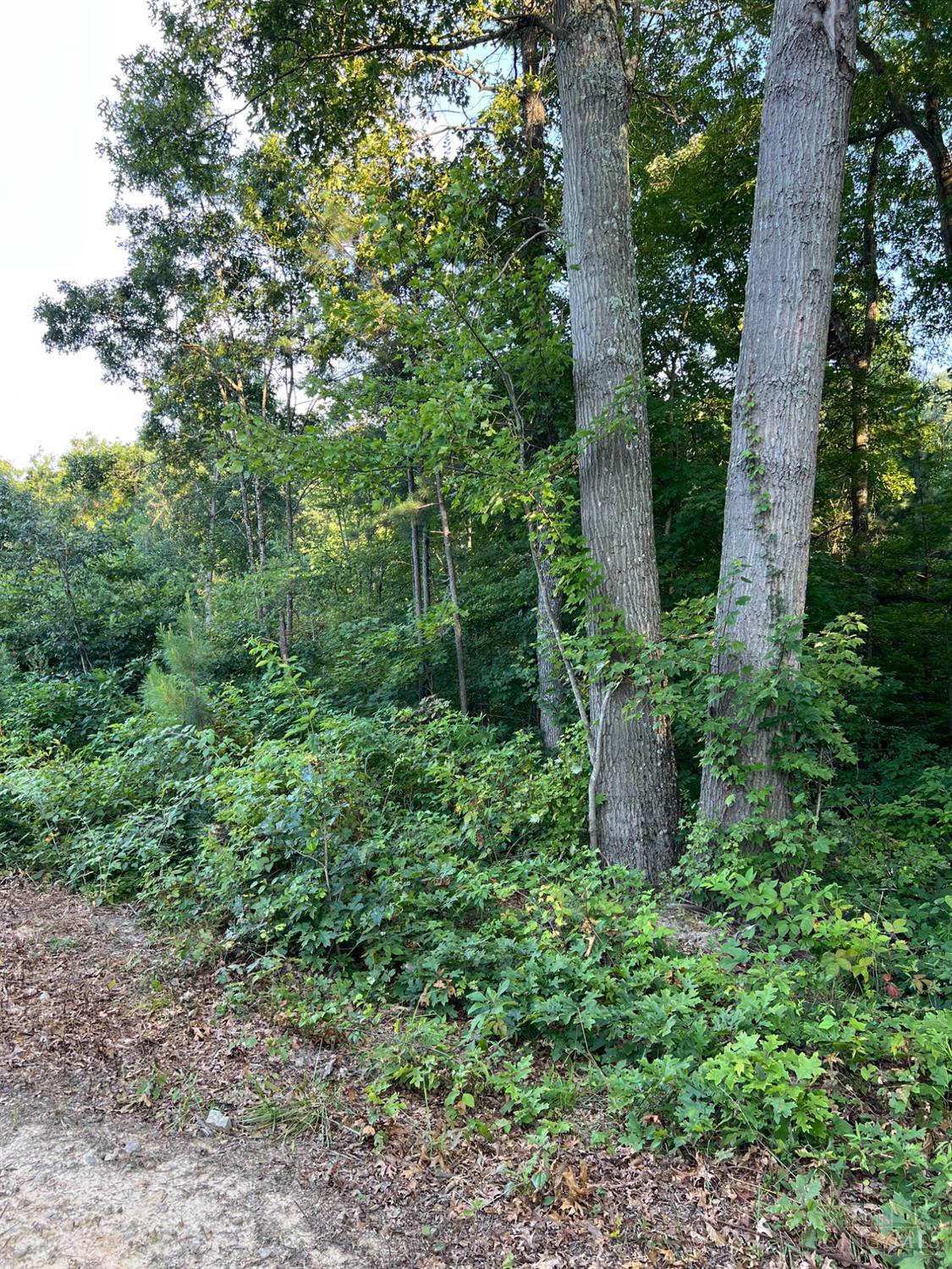 Tabernacle Road, Scioto Twp, OH, 45601 — photo 26