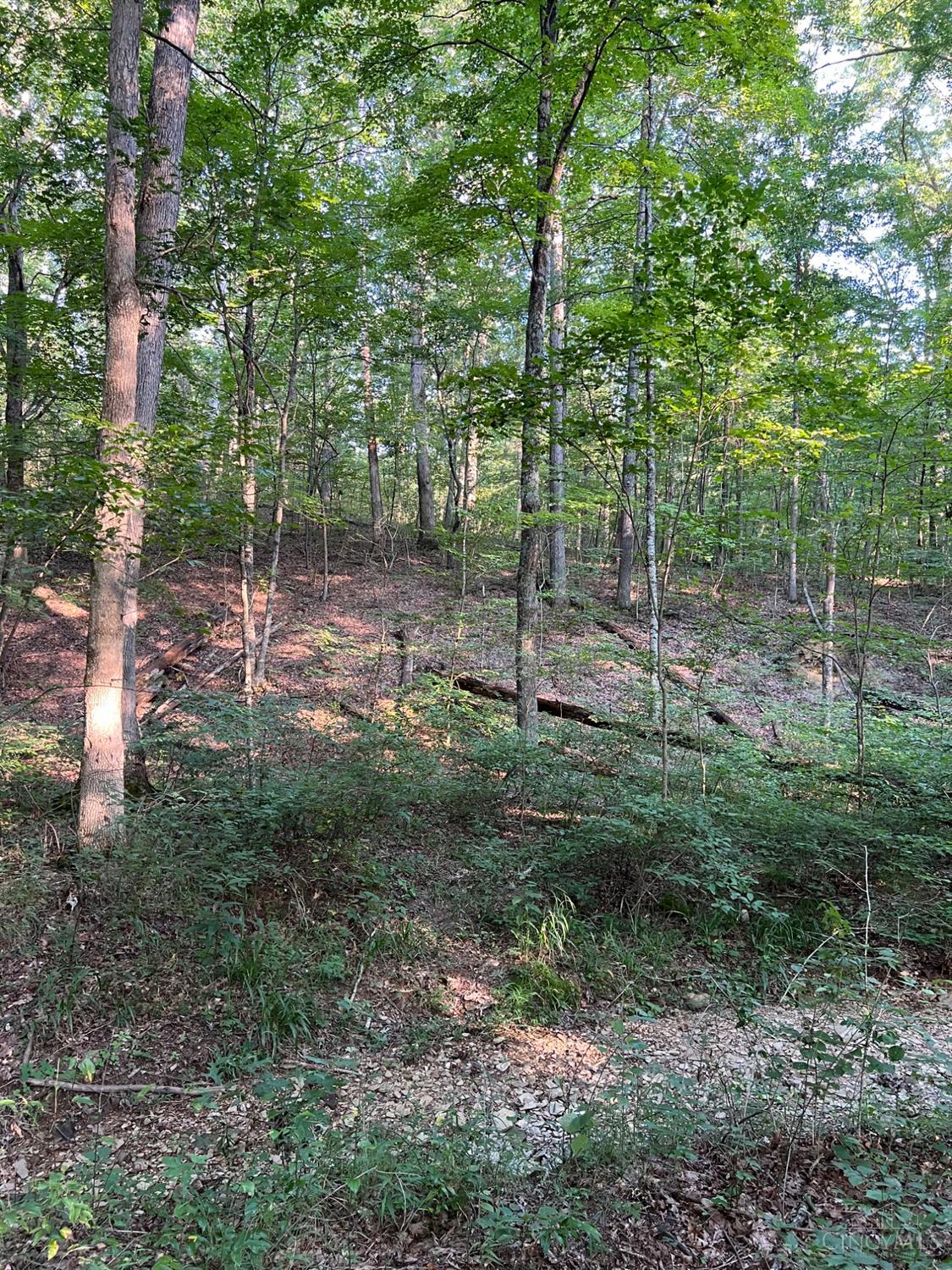 Tabernacle Road, Scioto Twp, OH, 45601 — photo 37