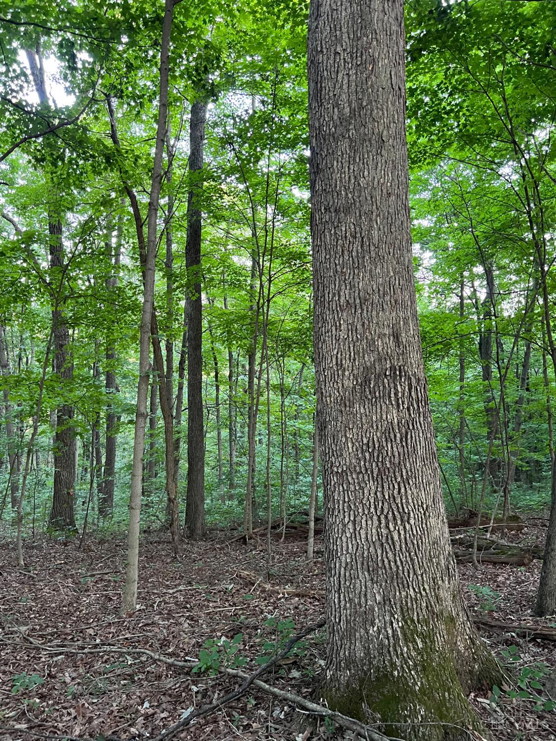 Tabernacle Road, Scioto Twp, OH, 45601 — photo 12