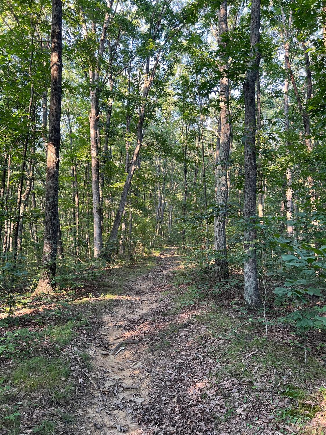 Tabernacle Road, Scioto Twp, OH, 45601 — photo 49