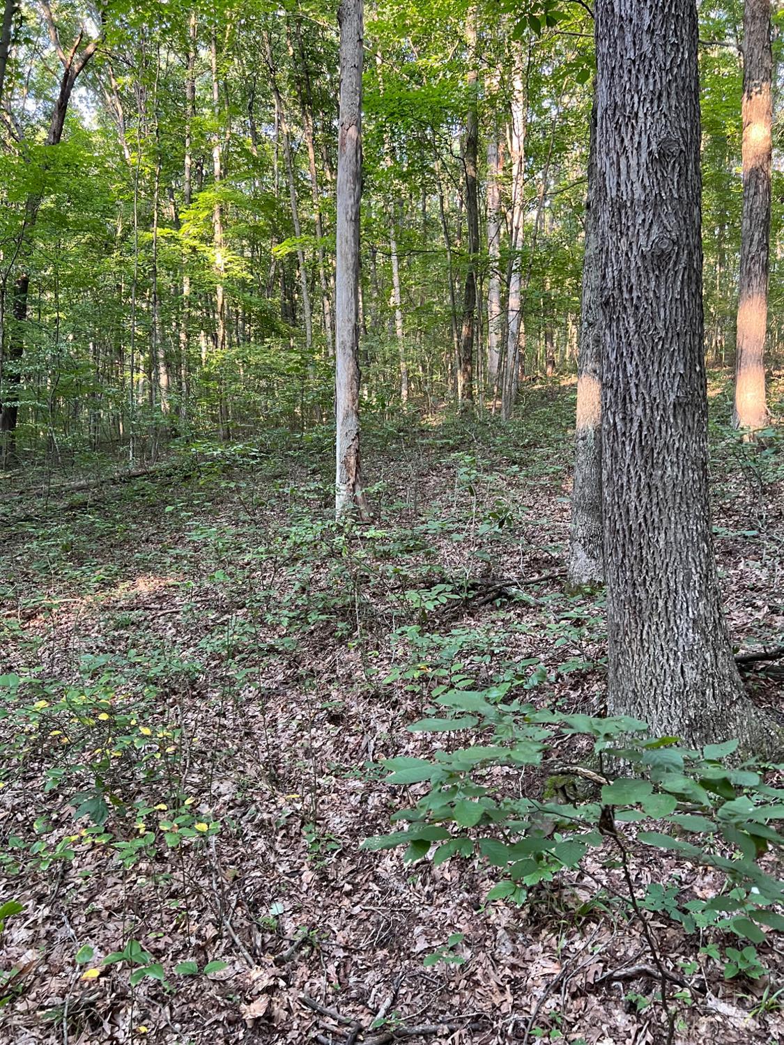 Tabernacle Road, Scioto Twp, OH, 45601 — photo 45