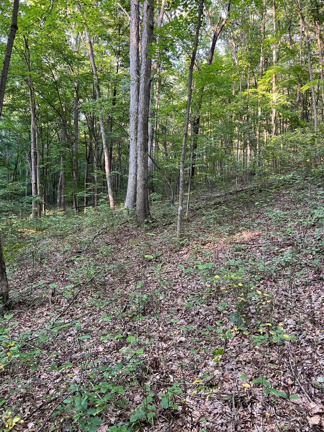 Tabernacle Road, Scioto Twp, OH, 45601 — photo 46