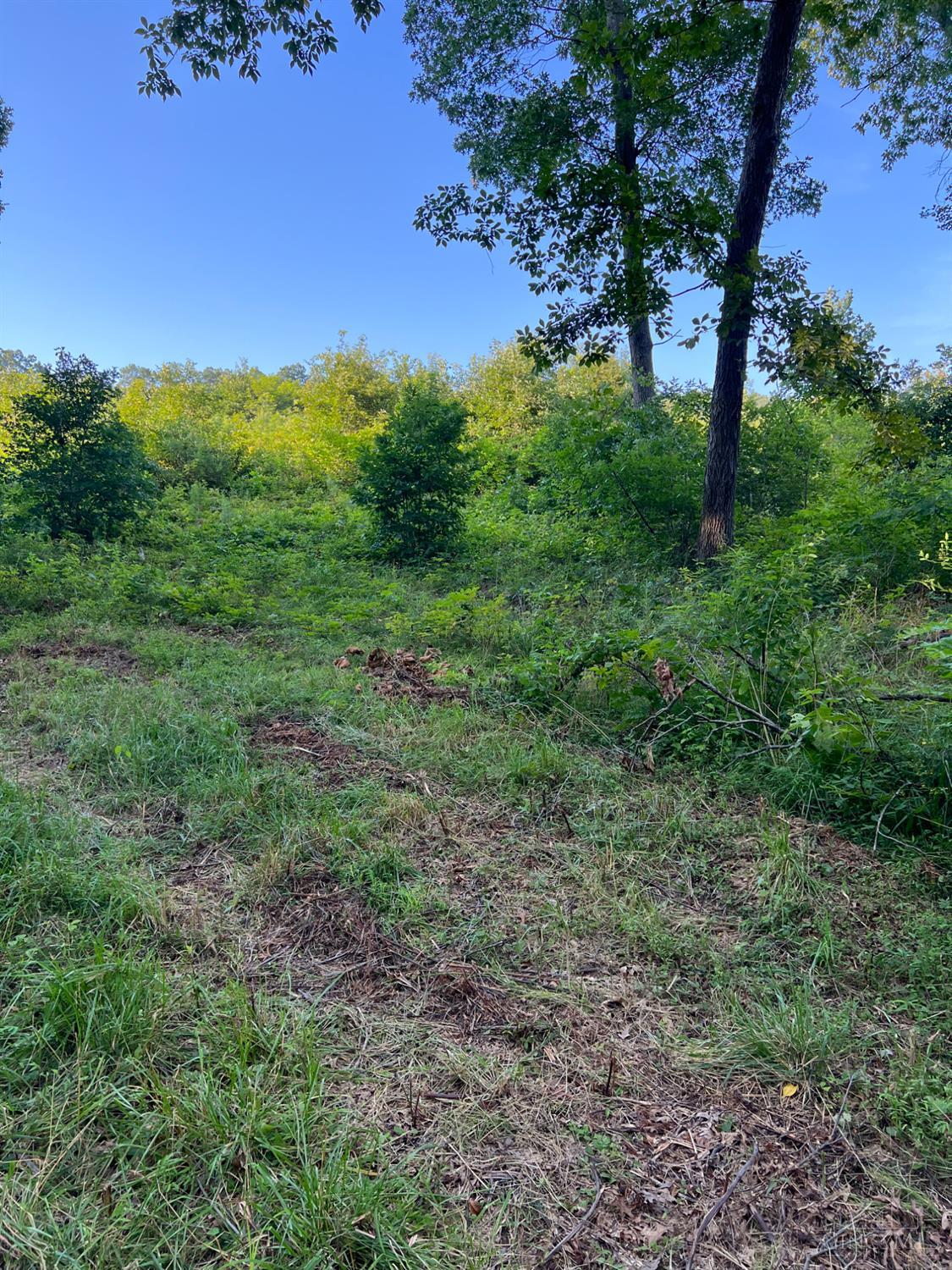 Tabernacle Road, Scioto Twp, OH, 45601 — photo 21