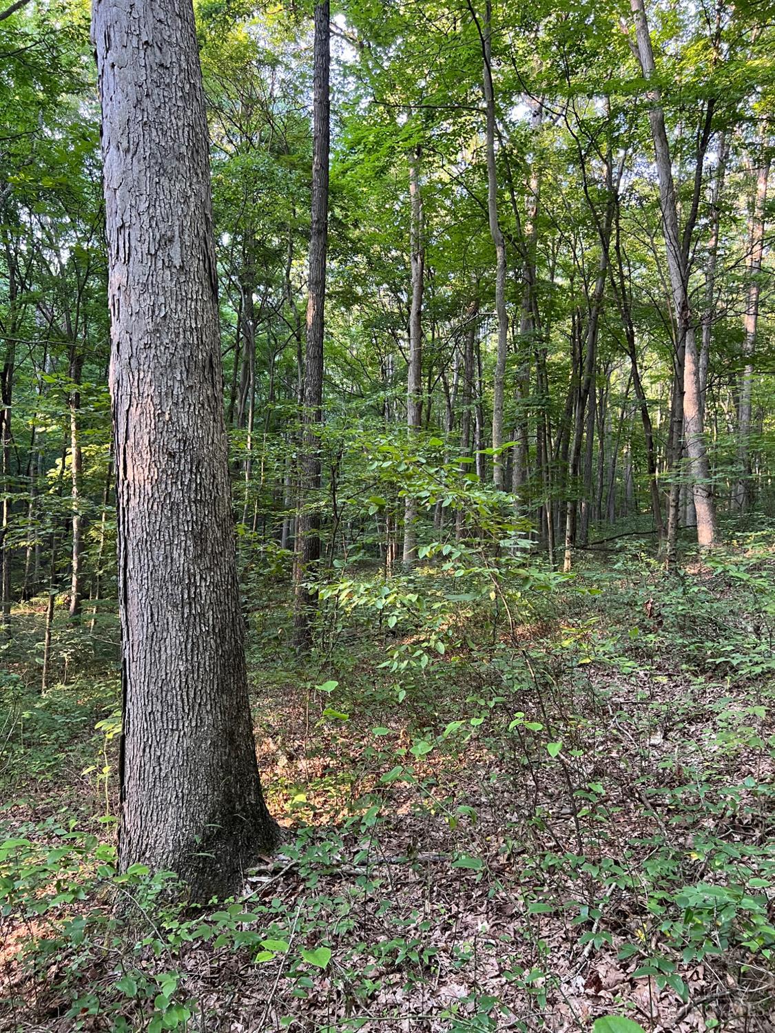 Tabernacle Road, Scioto Twp, OH, 45601 — photo 47