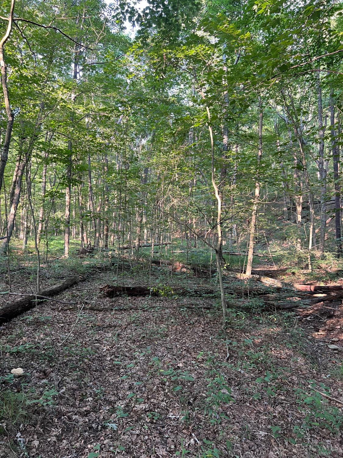 Tabernacle Road, Scioto Twp, OH, 45601 — photo 36