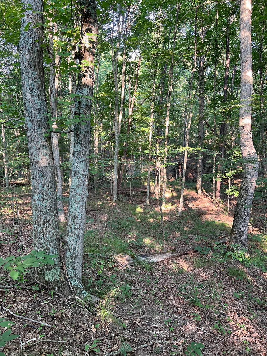 Tabernacle Road, Scioto Twp, OH, 45601 — photo 33