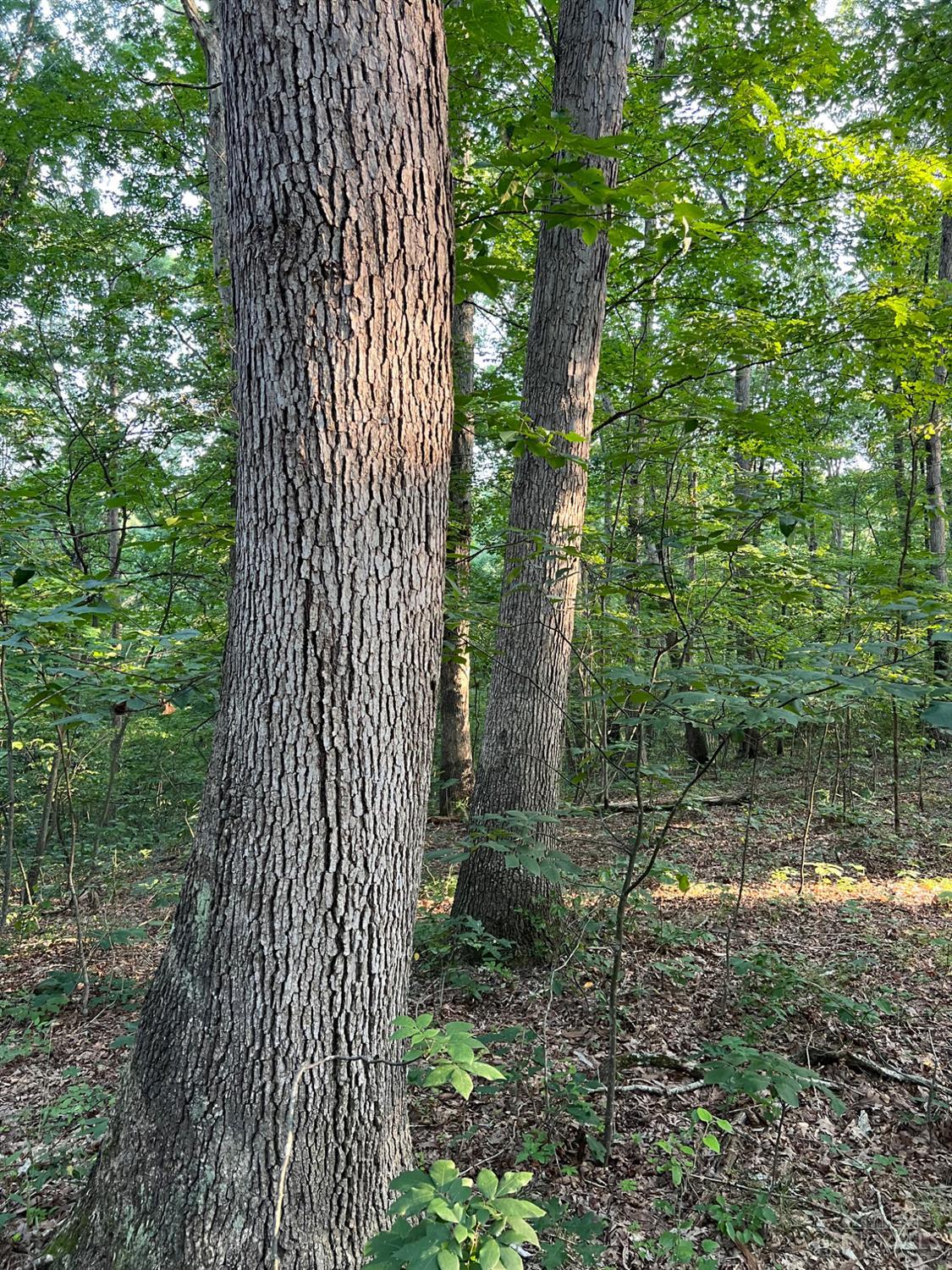 Tabernacle Road, Scioto Twp, OH, 45601 — photo 43