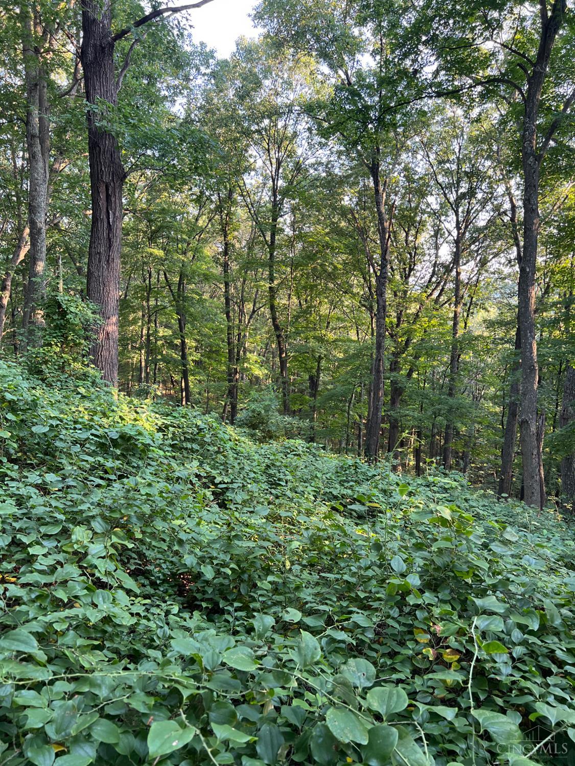 Tabernacle Road, Scioto Twp, OH, 45601 — photo 54
