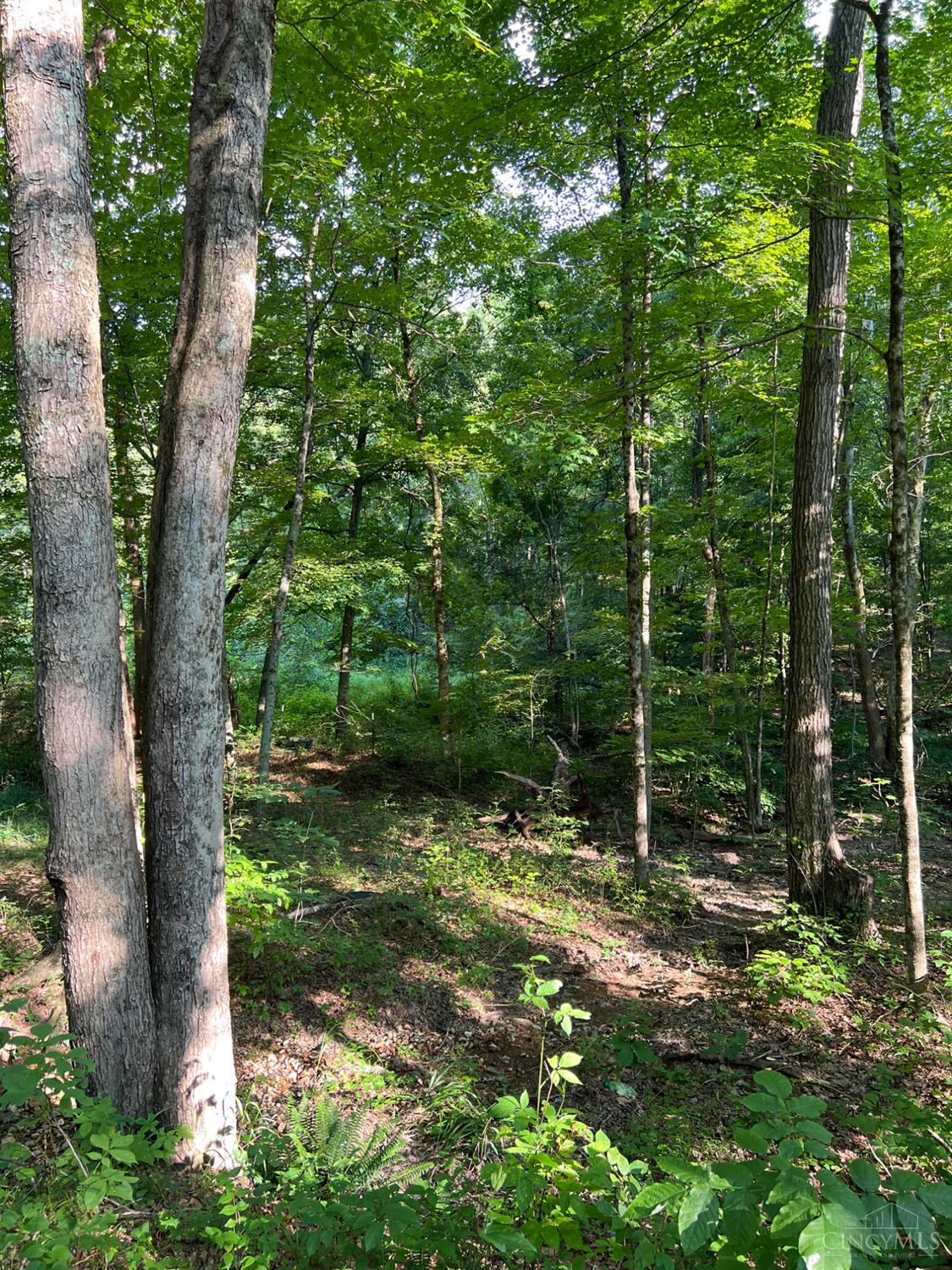 Tabernacle Road, Scioto Twp, OH, 45601 — photo 16