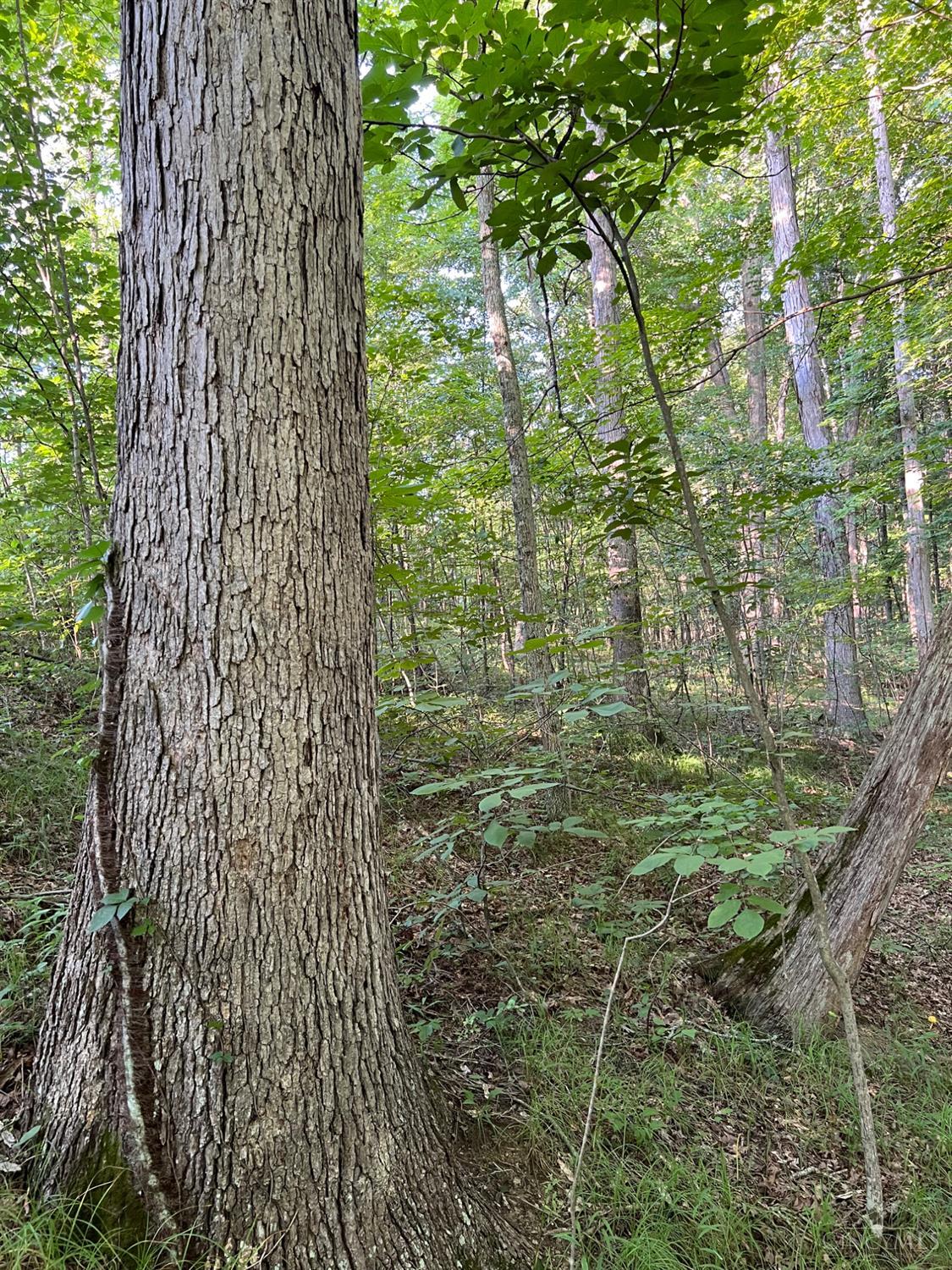 Tabernacle Road, Scioto Twp, OH, 45601 — photo 3