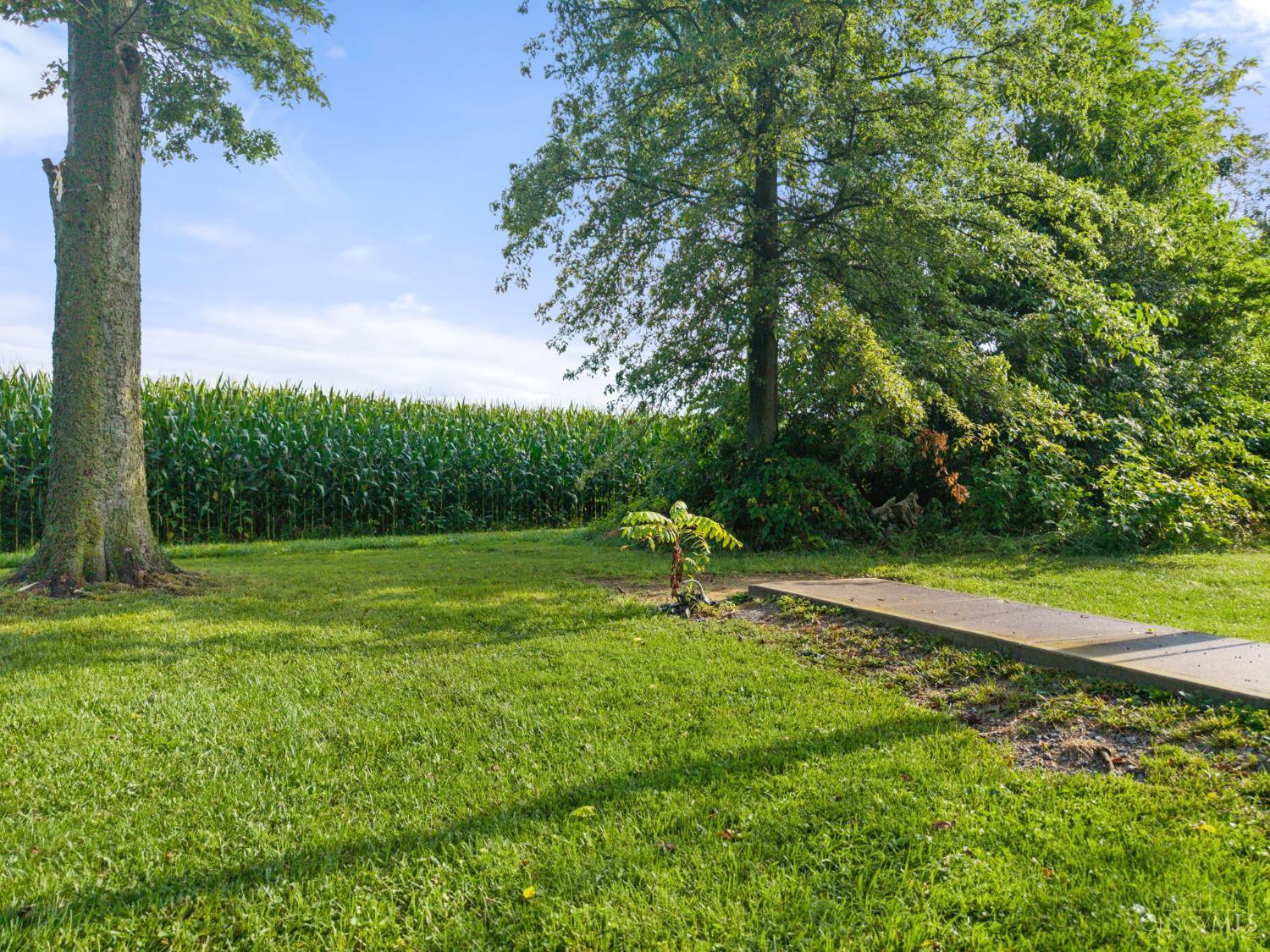 5009 St Rt 138, Hamer Twp, OH, 45133 — photo 27