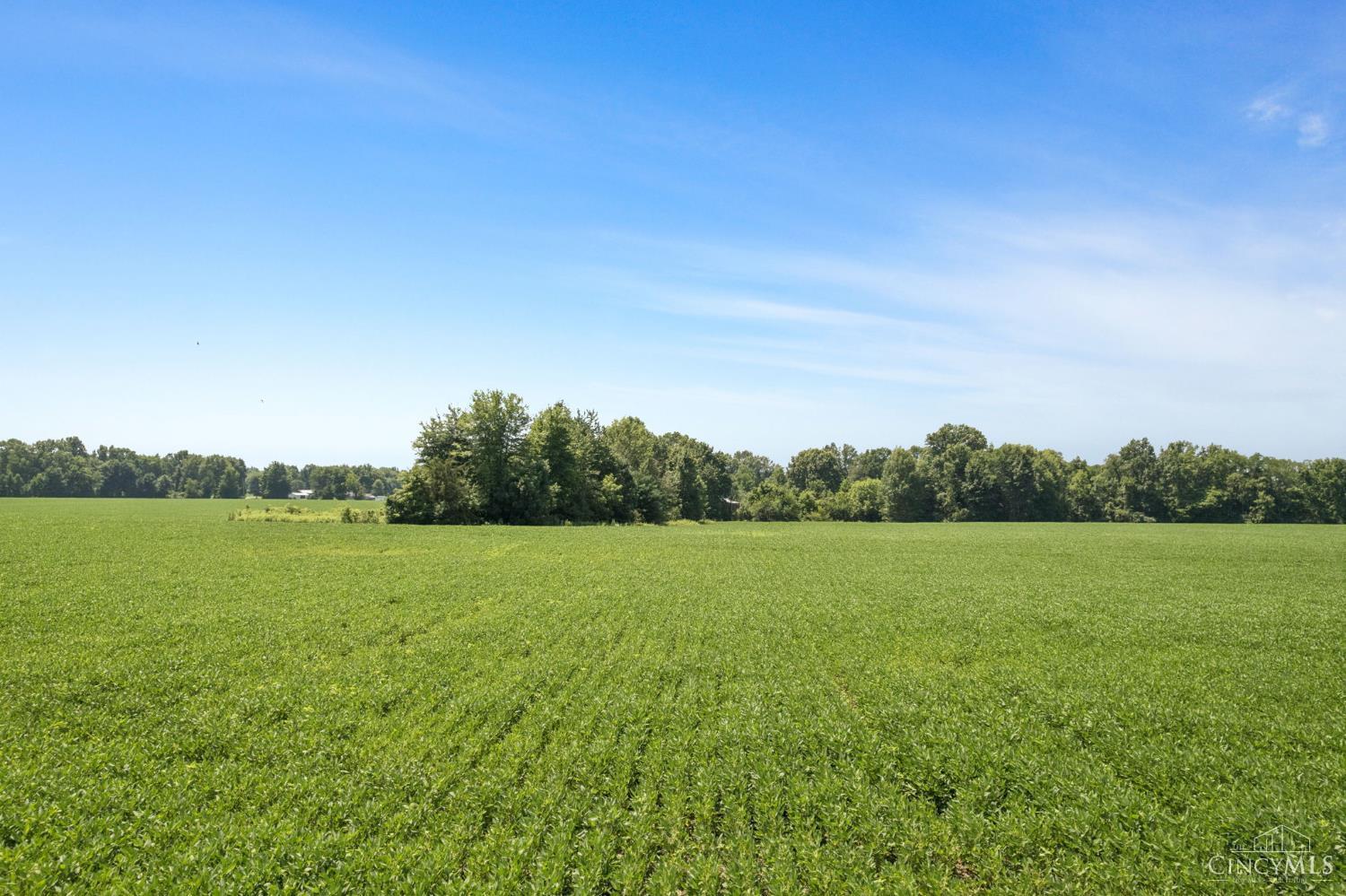 Dean Road, Tate Twp, OH, 45106 — photo 4
