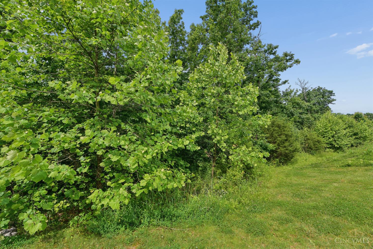 9255 Geromes Way #Lot 8, Symmes Twp, OH, 45140 — photo 14