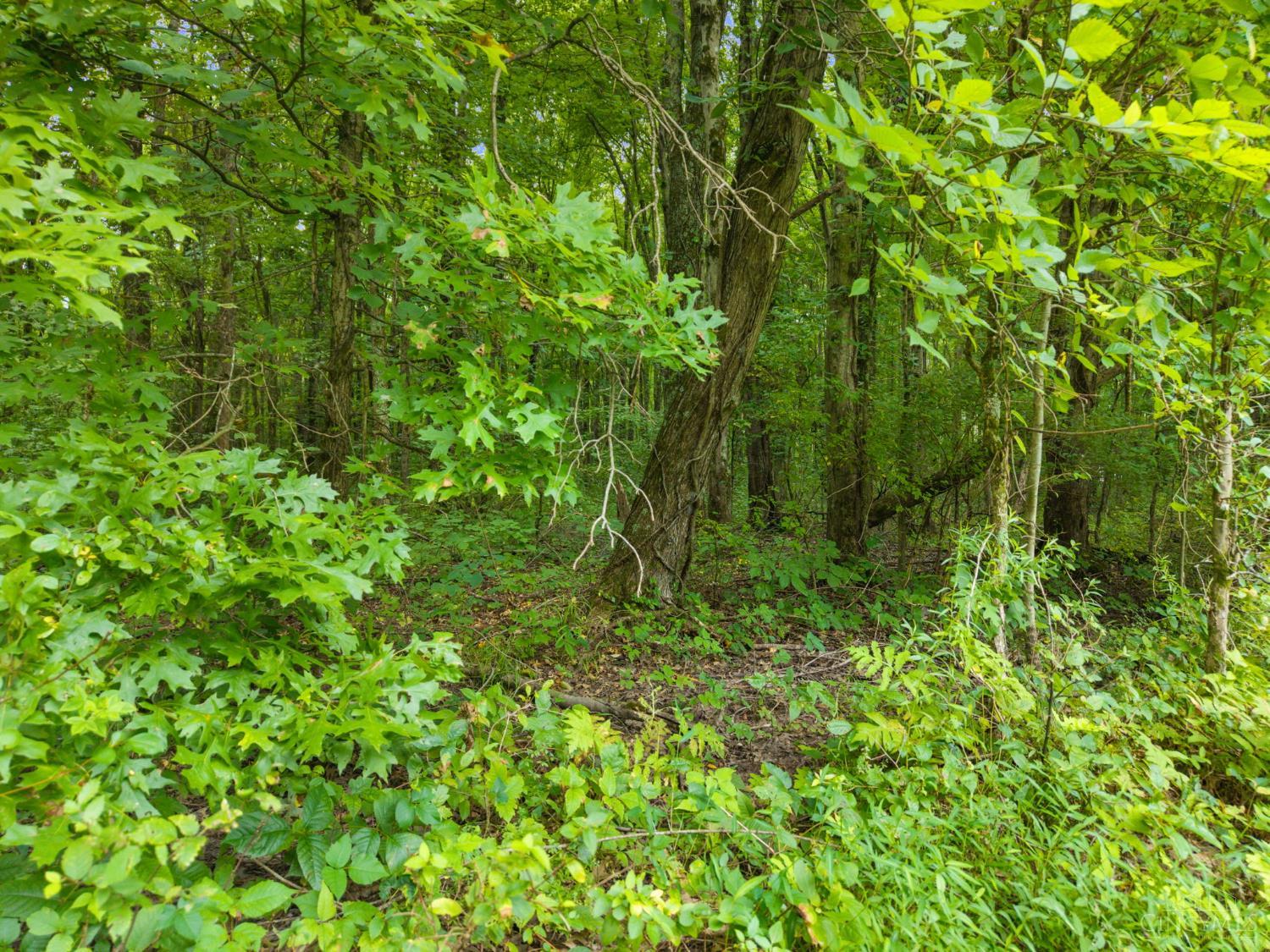 21st image of Moore Rd, Bethel, OH 45106 | MLS# 1890368