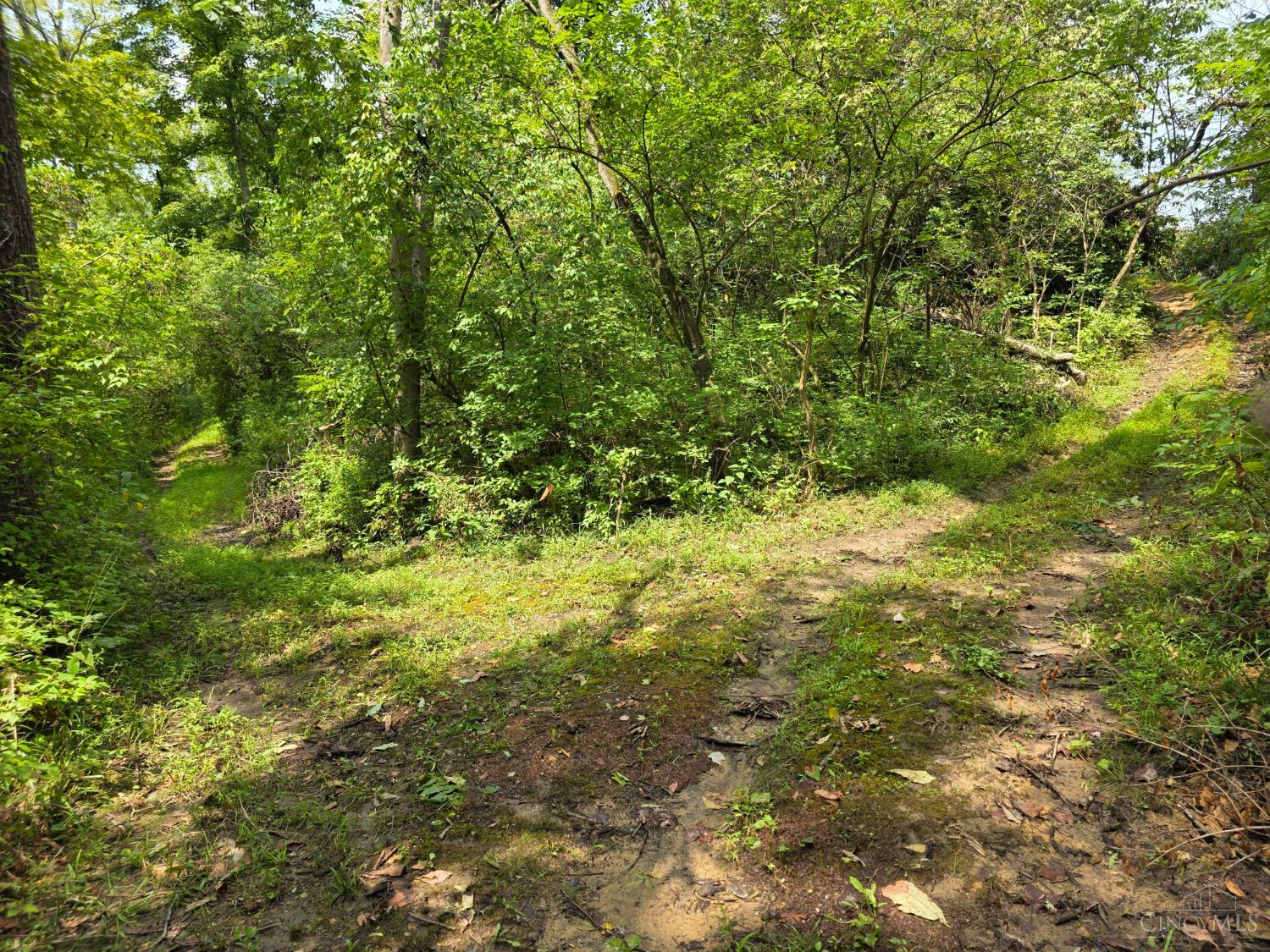 Lot B Fagins Run Road, Pierce Twp, OH, 45157 — photo 17