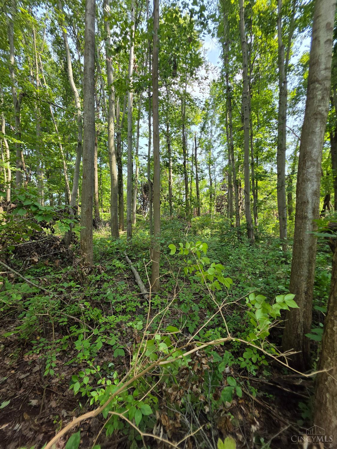 Lot B Fagins Run Road, Pierce Twp, OH, 45157 — photo 7