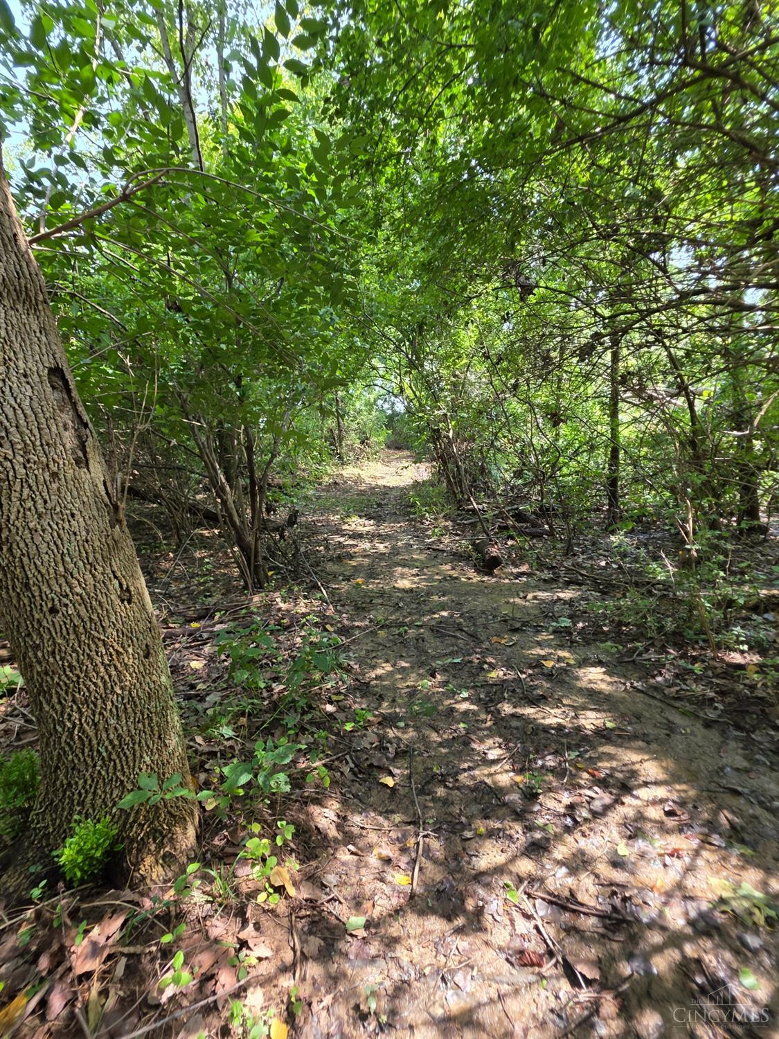 Lot A Fagins Run Road, Pierce Twp, OH, 45157 — photo 22