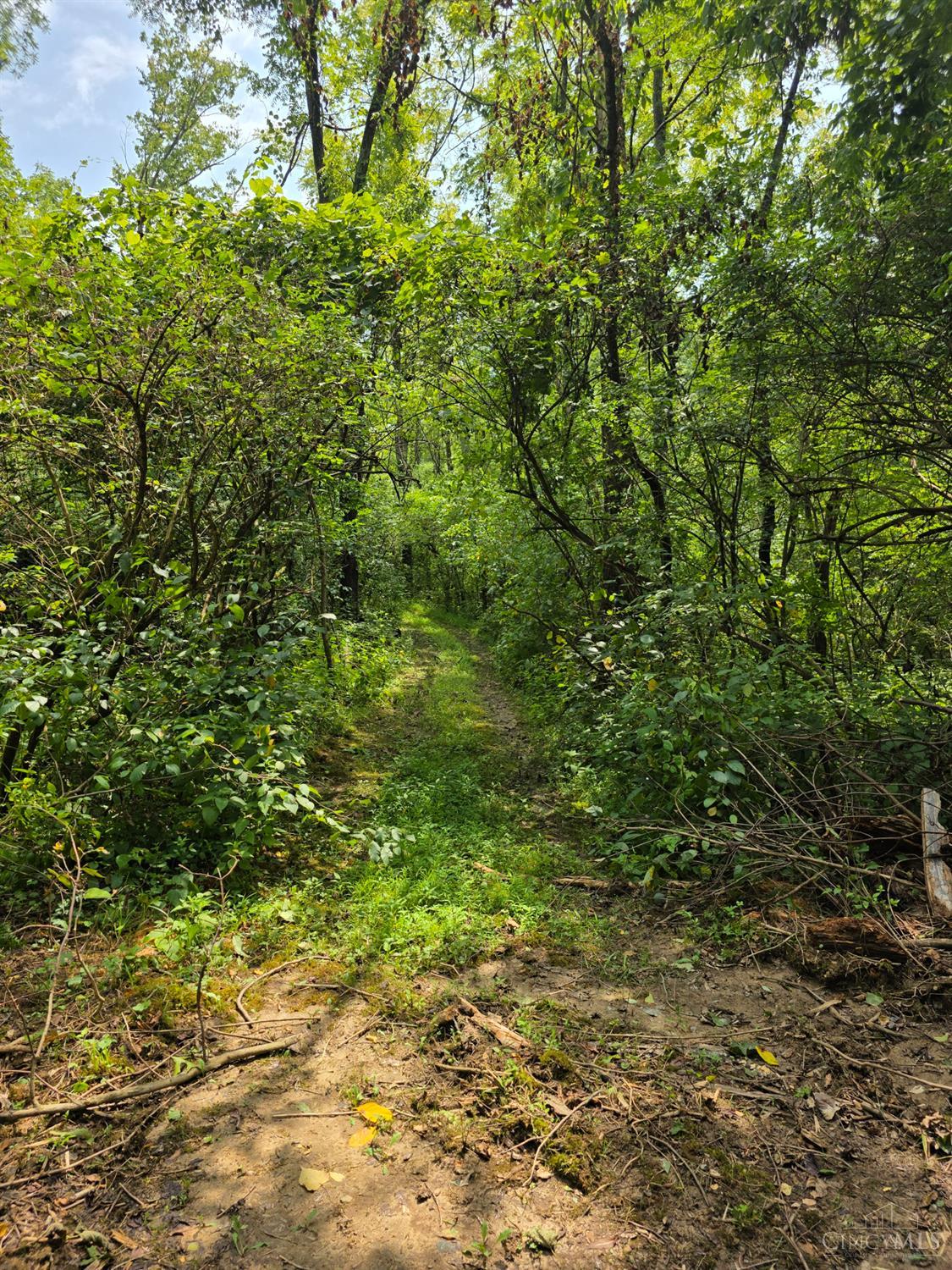 Lot B Fagins Run Road, Pierce Twp, OH, 45157 — photo 14