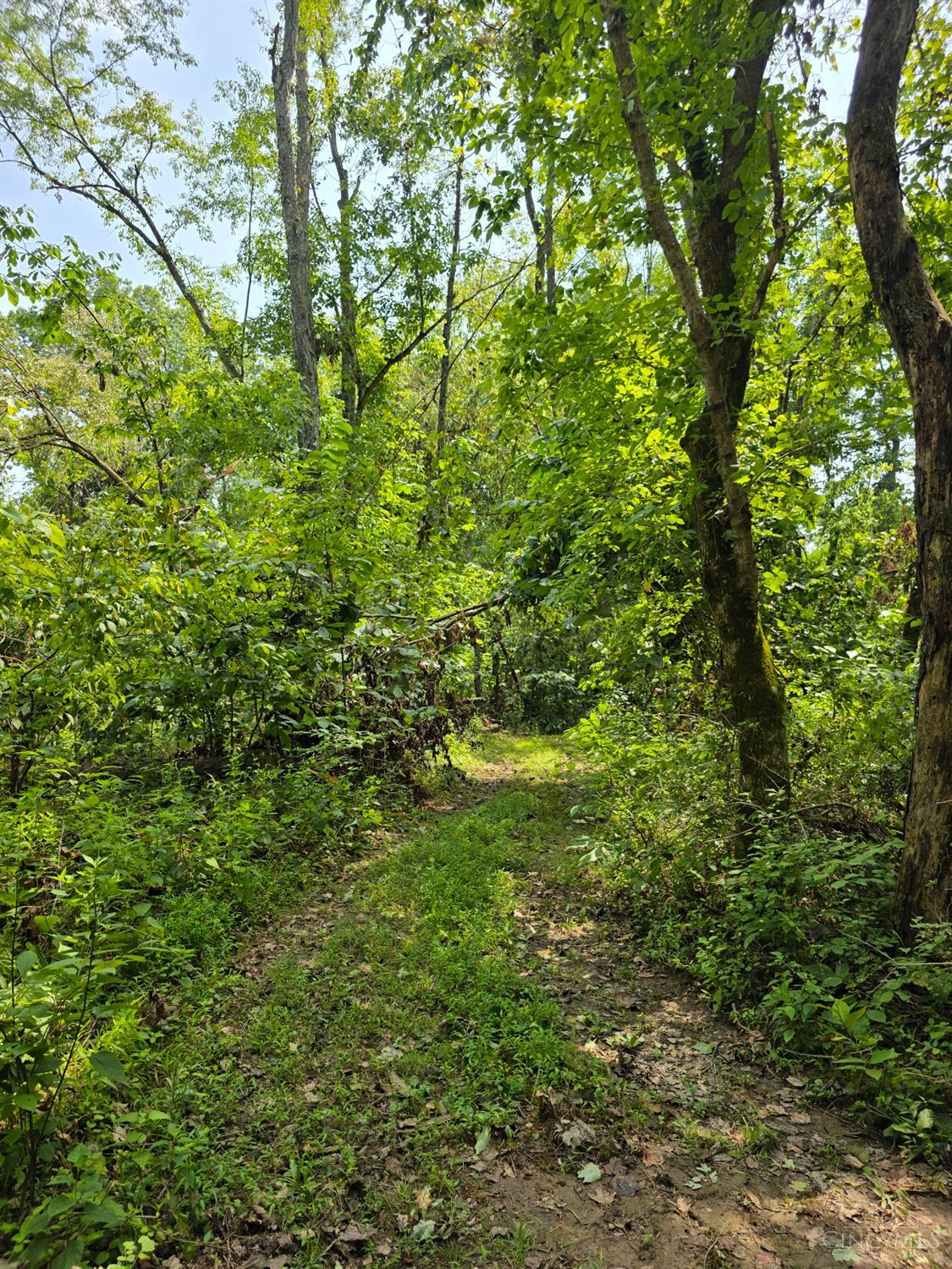 Lot B Fagins Run Road, Pierce Twp, OH, 45157 — photo 21