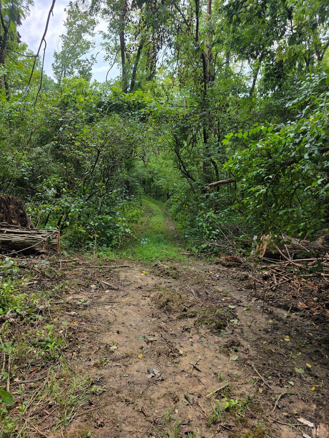 Lot B Fagins Run Road, Pierce Twp, OH, 45157 — photo 13