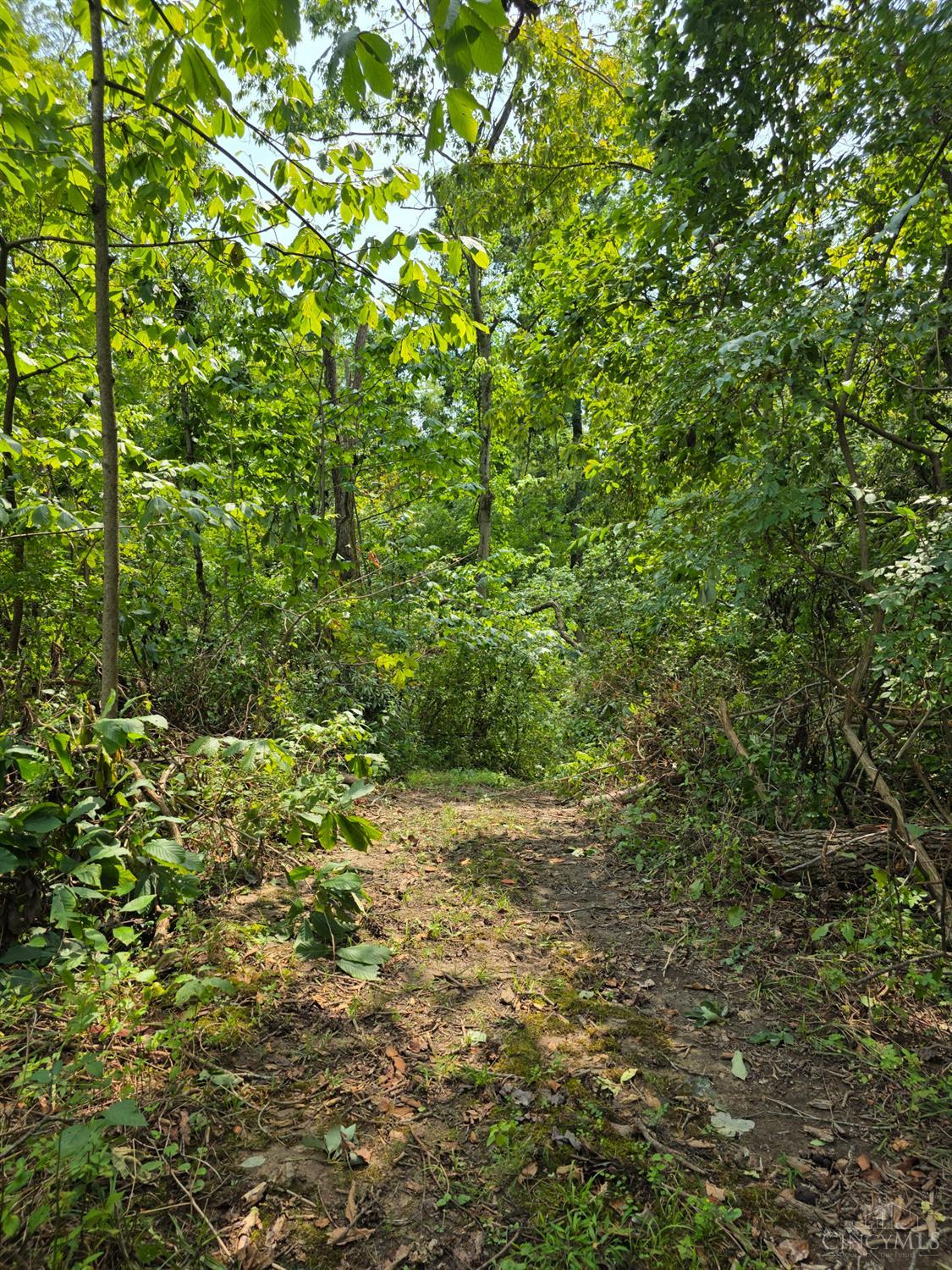 Lot B Fagins Run Road, Pierce Twp, OH, 45157 — photo 18