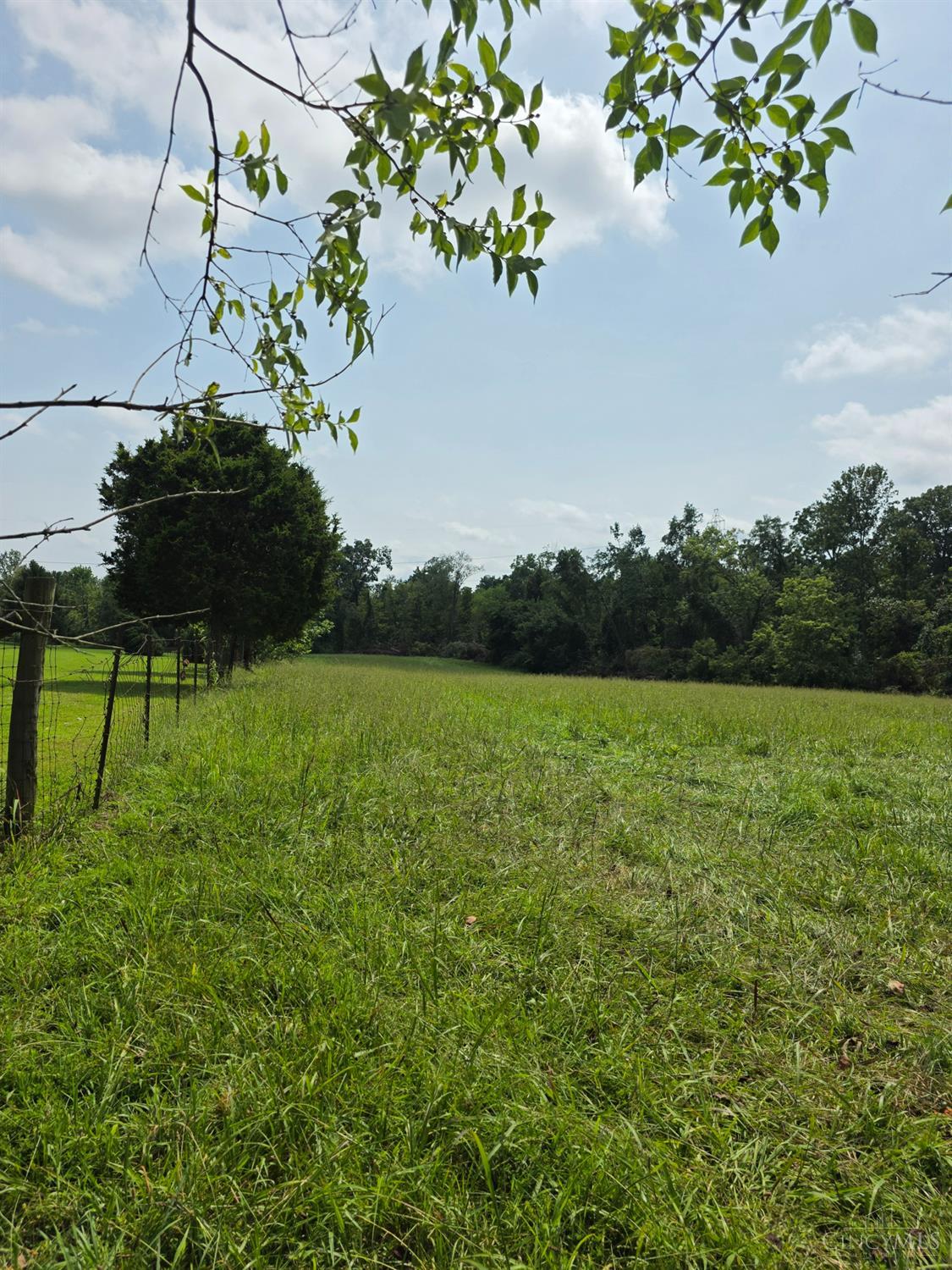 Lot A Fagins Run Road, Pierce Twp, OH, 45157 — photo 8