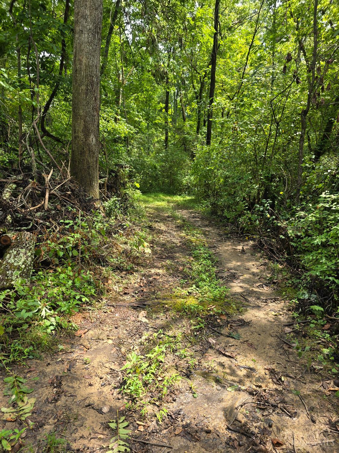 Lot B Fagins Run Road, Pierce Twp, OH, 45157 — photo 16