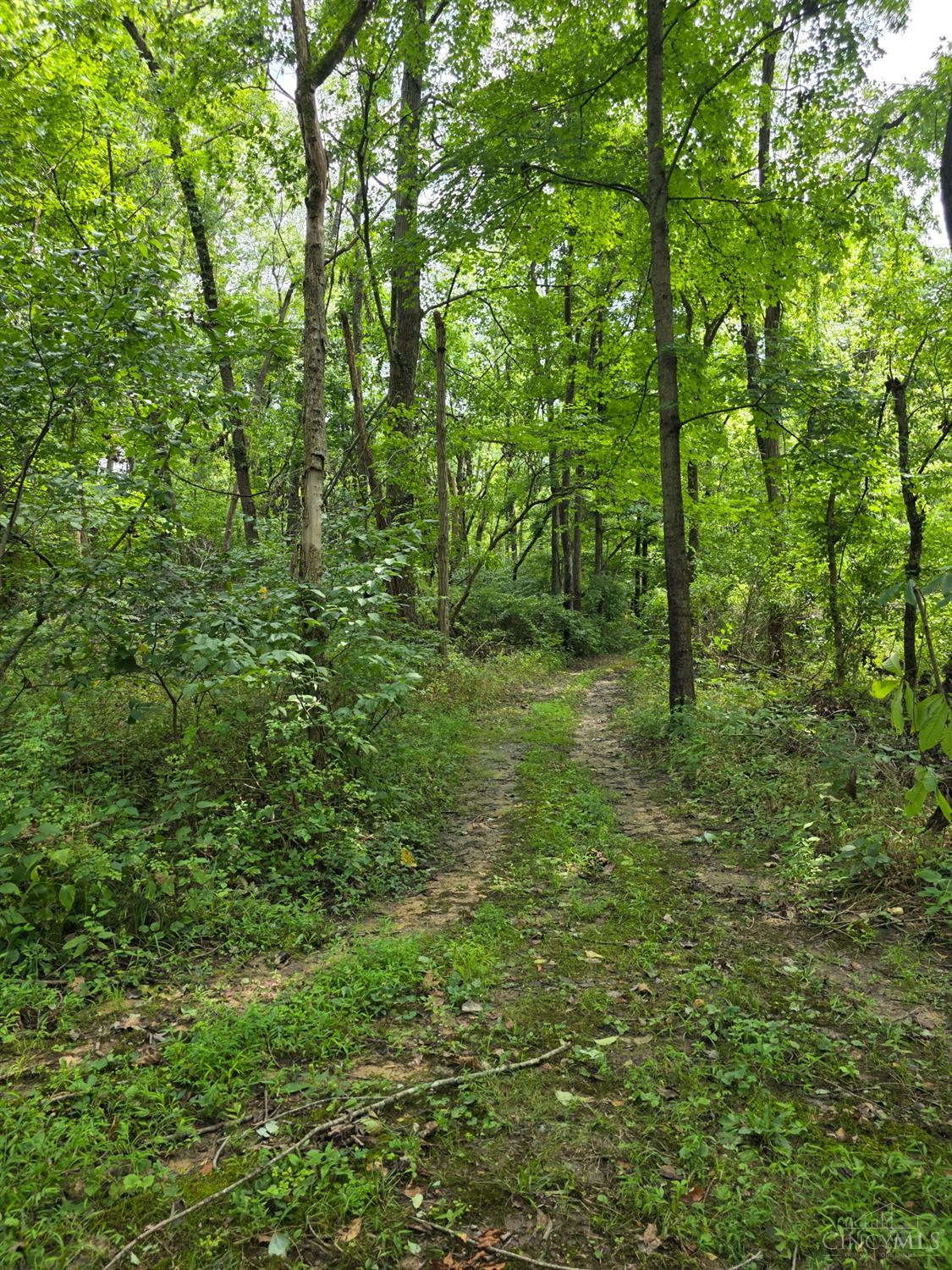 Lot B Fagins Run Road, Pierce Twp, OH, 45157 — photo 10