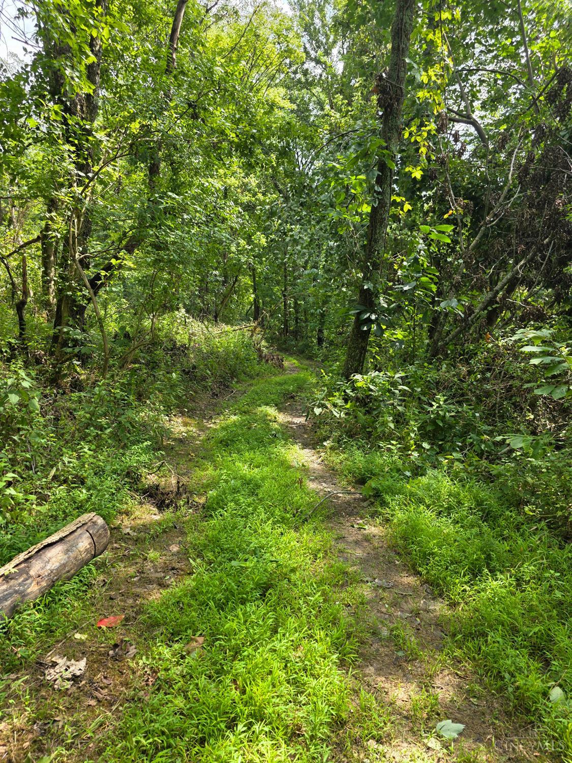 Lot B Fagins Run Road, Pierce Twp, OH, 45157 — photo 9