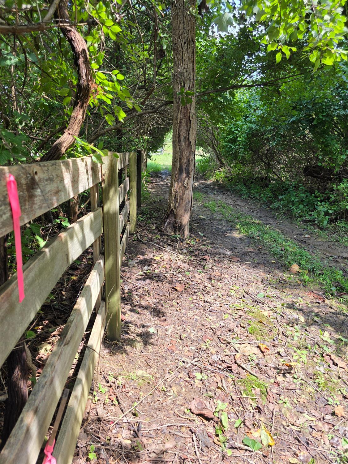 Lot A Fagins Run Road, Pierce Twp, OH, 45157 — photo 5